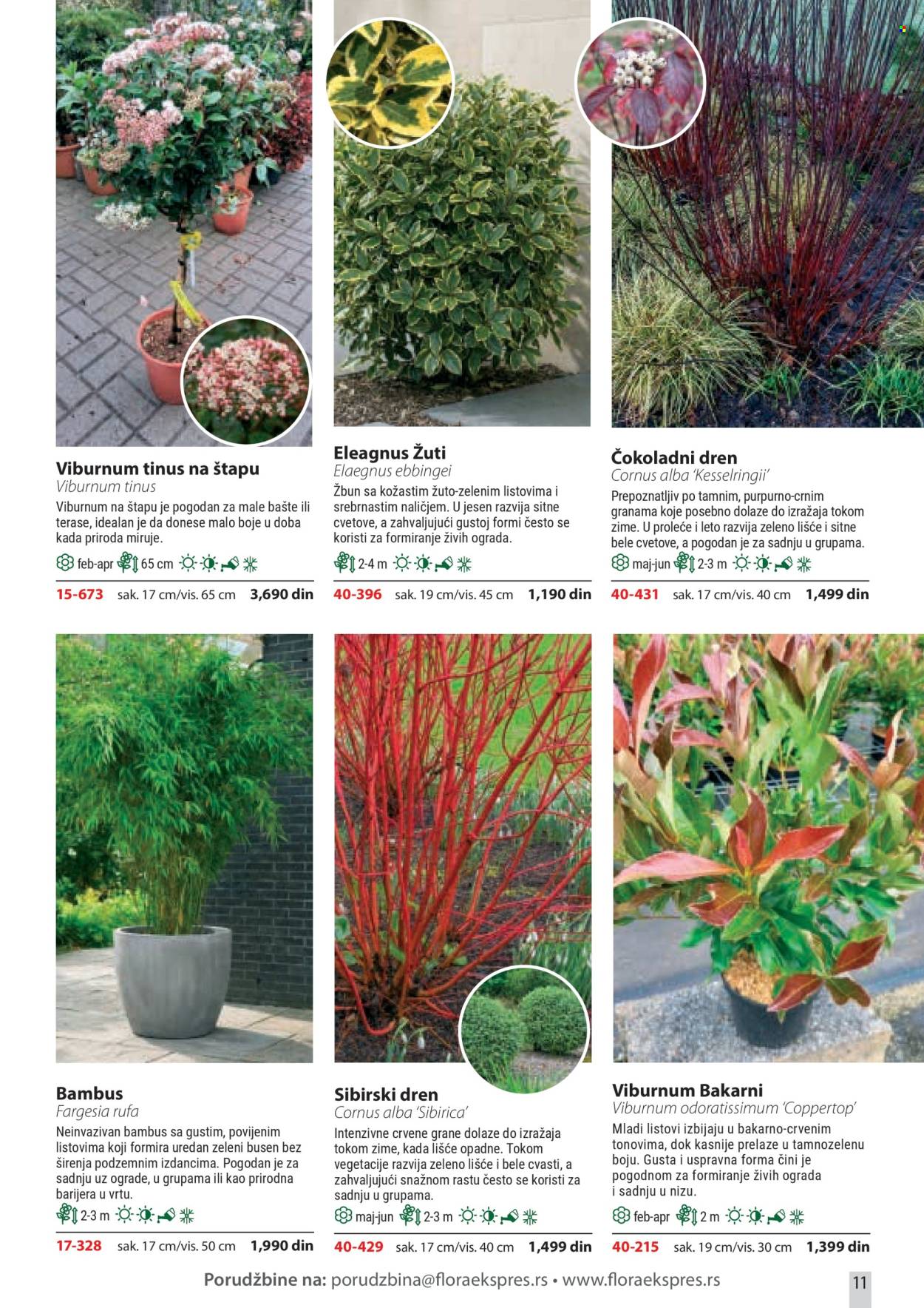 Flora Ekspres katalog . Stranica 11
