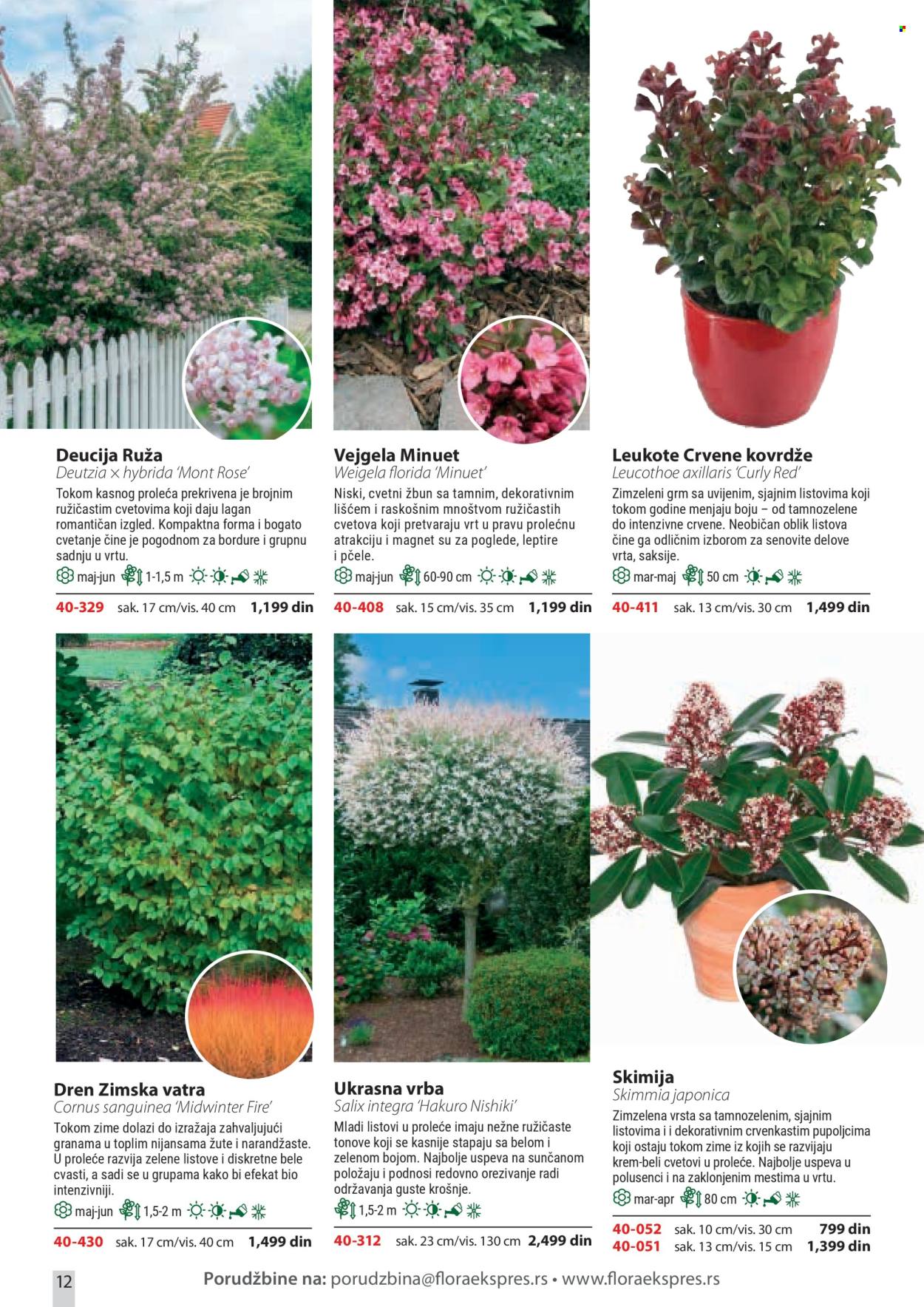 Flora Ekspres katalog . Stranica 12
