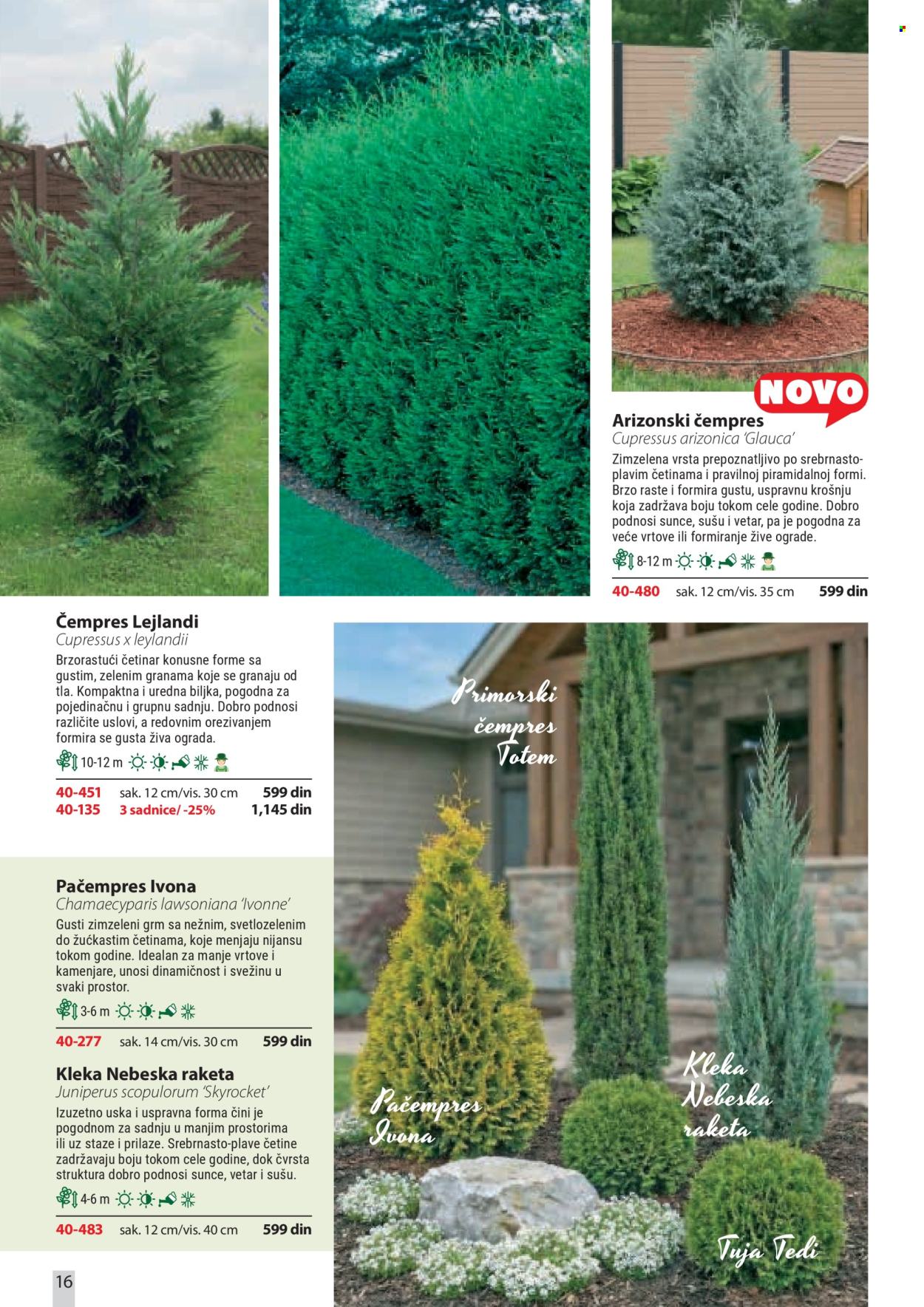 Flora Ekspres katalog . Stranica 16