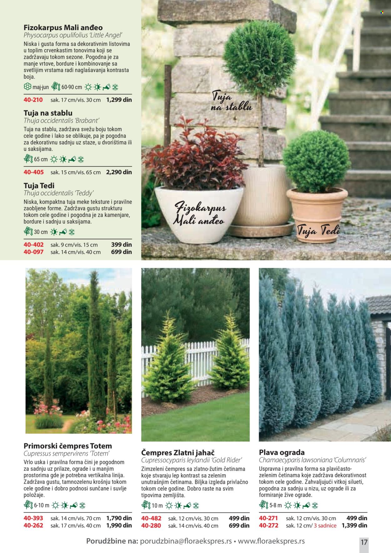 Flora Ekspres katalog . Stranica 17