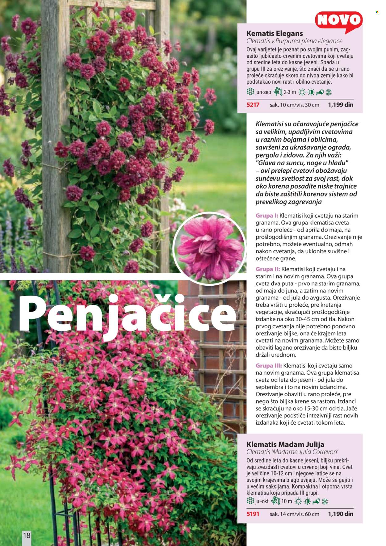 Flora Ekspres katalog . Stranica 18