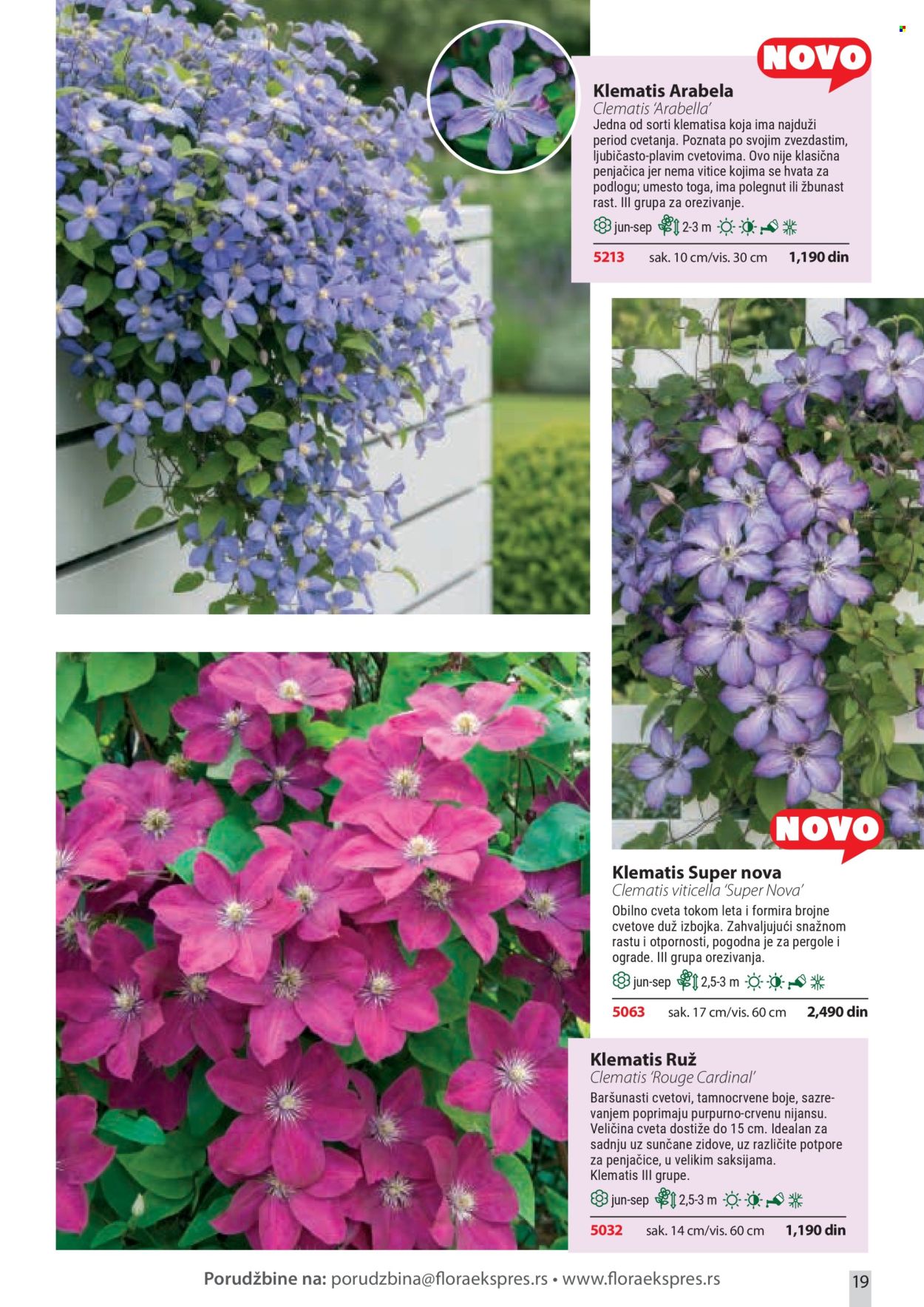 Flora Ekspres katalog . Stranica 19
