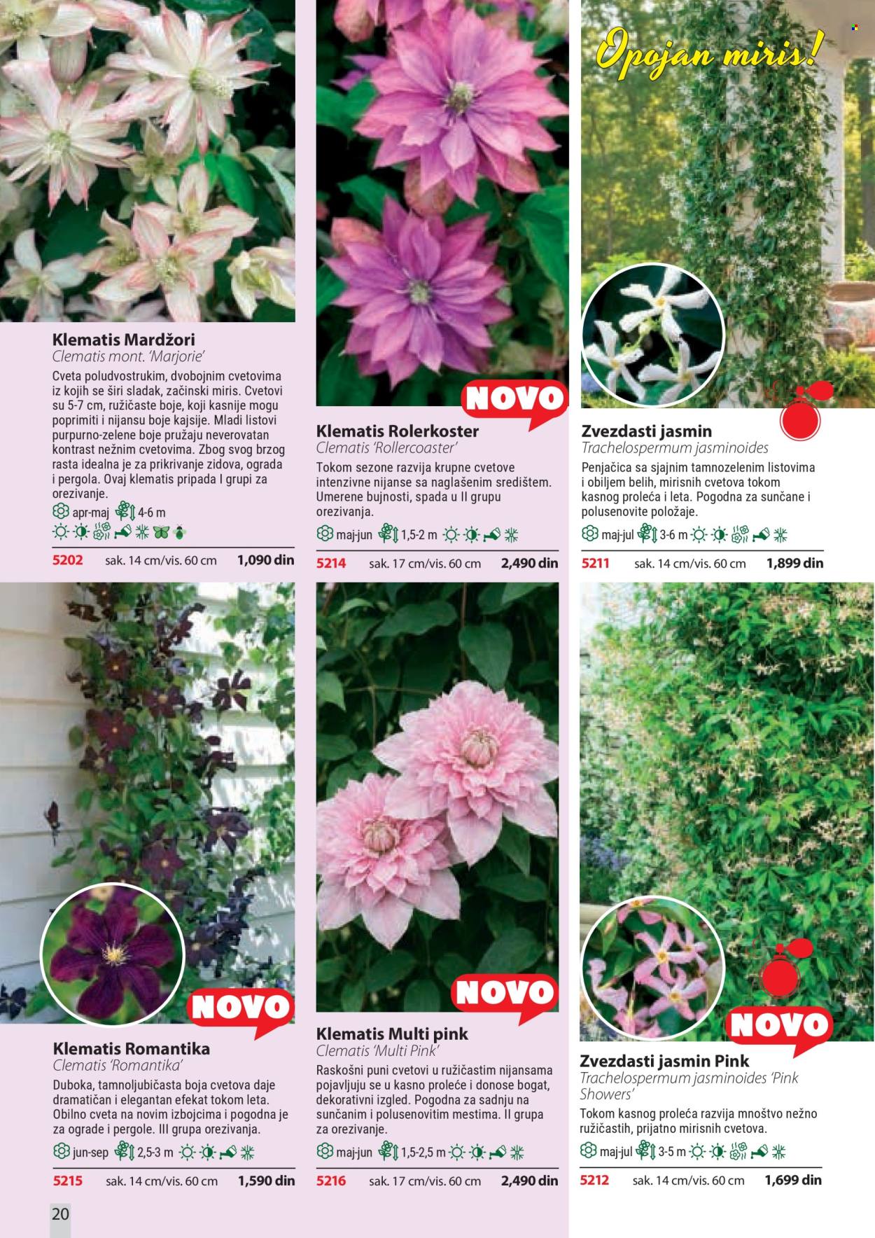Flora Ekspres katalog . Stranica 20
