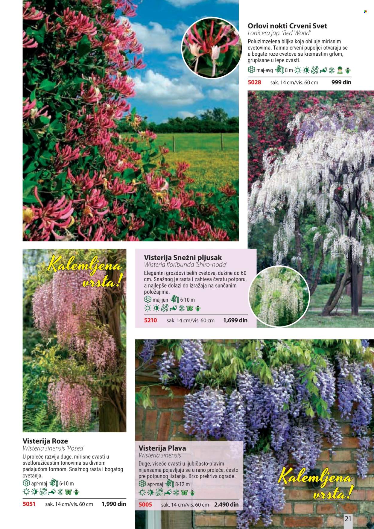 Flora Ekspres katalog . Stranica 21