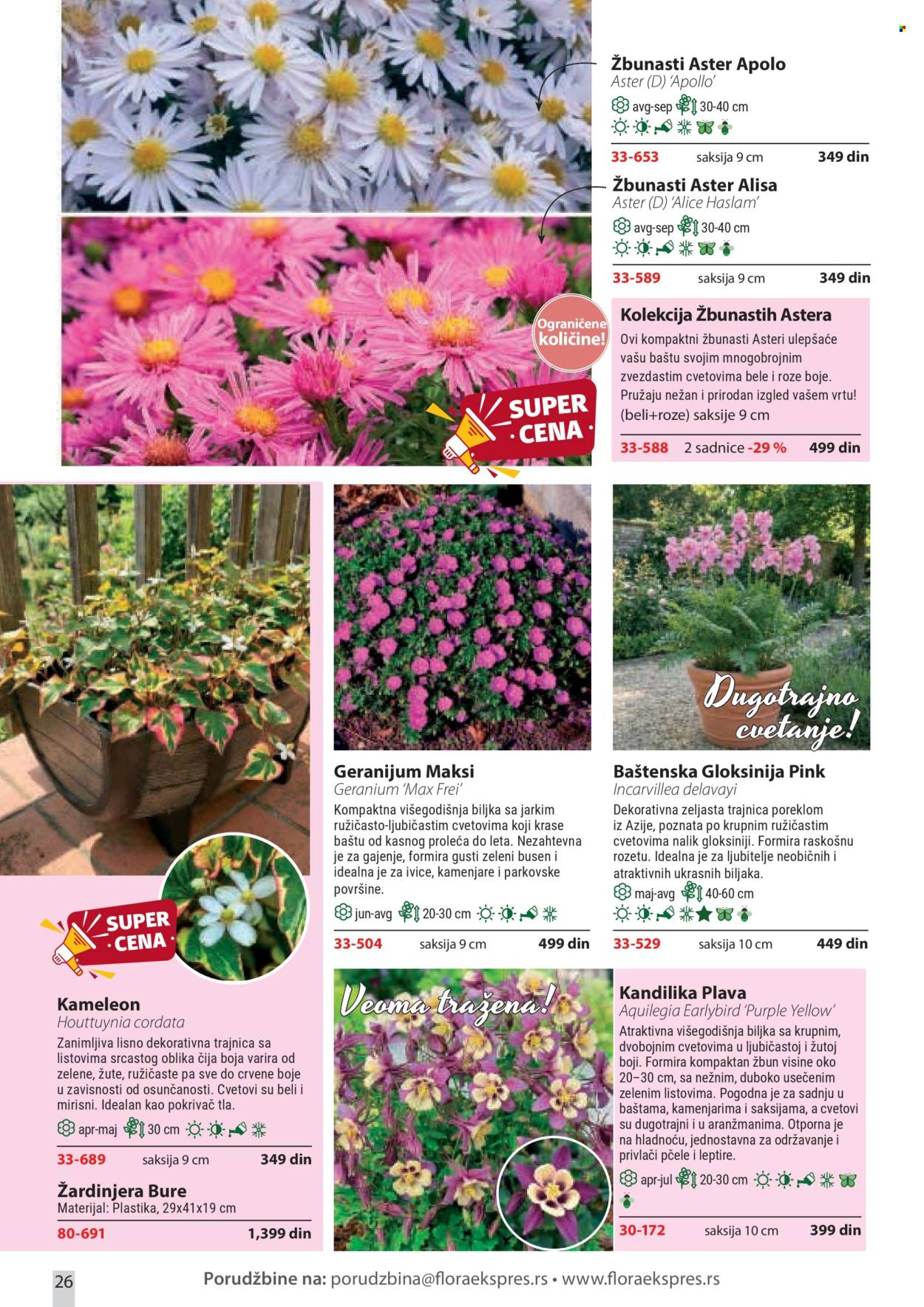 Flora Ekspres katalog . Stranica 26