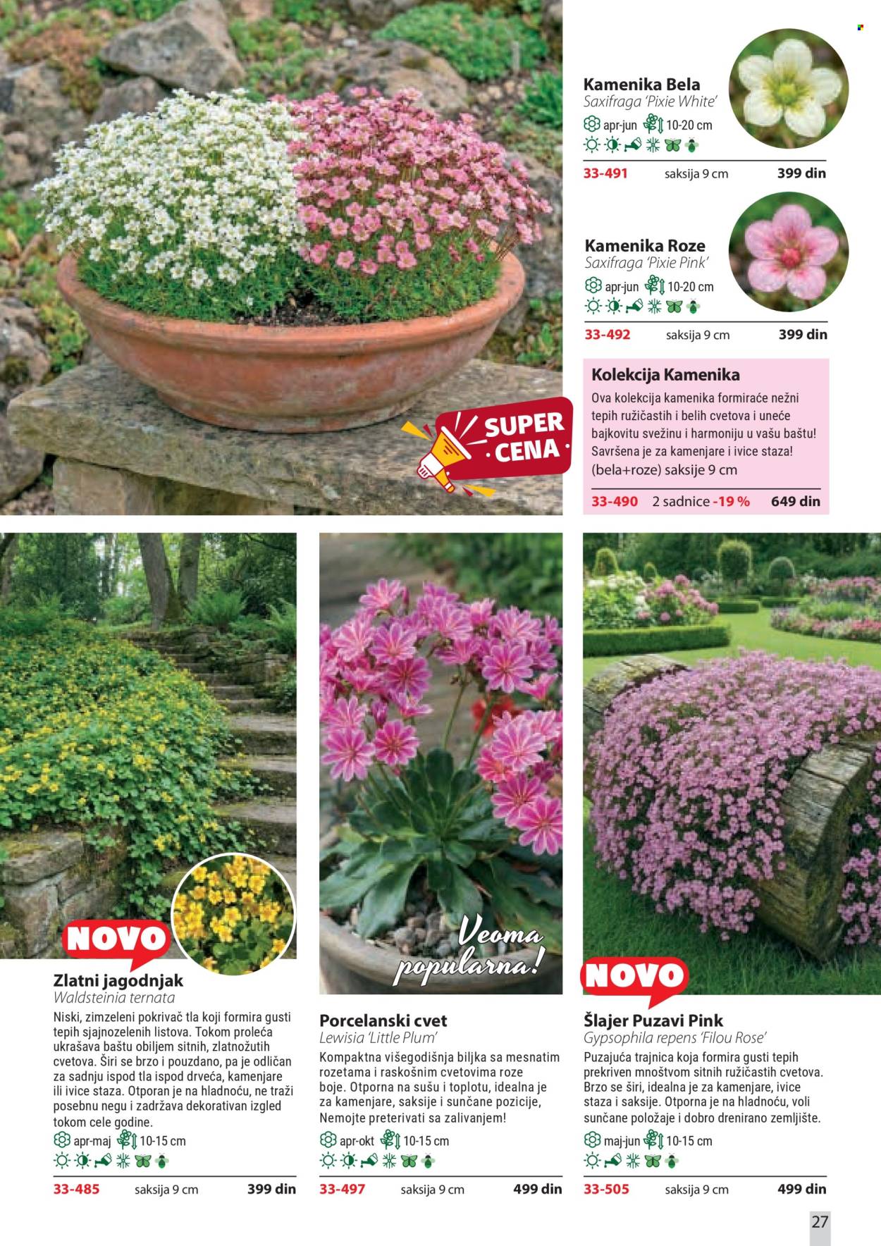 Flora Ekspres katalog . Stranica 27