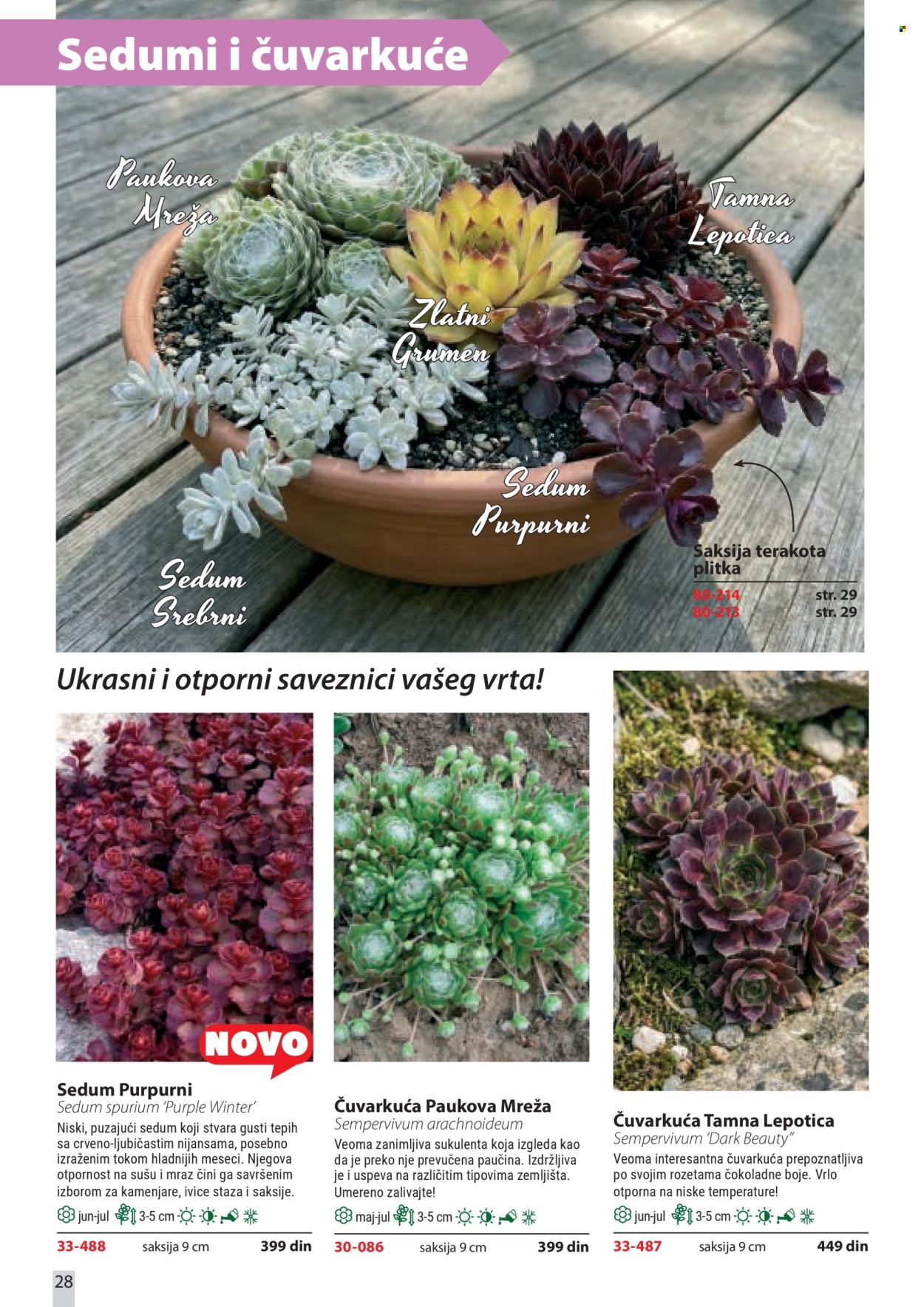 Flora Ekspres katalog . Stranica 28