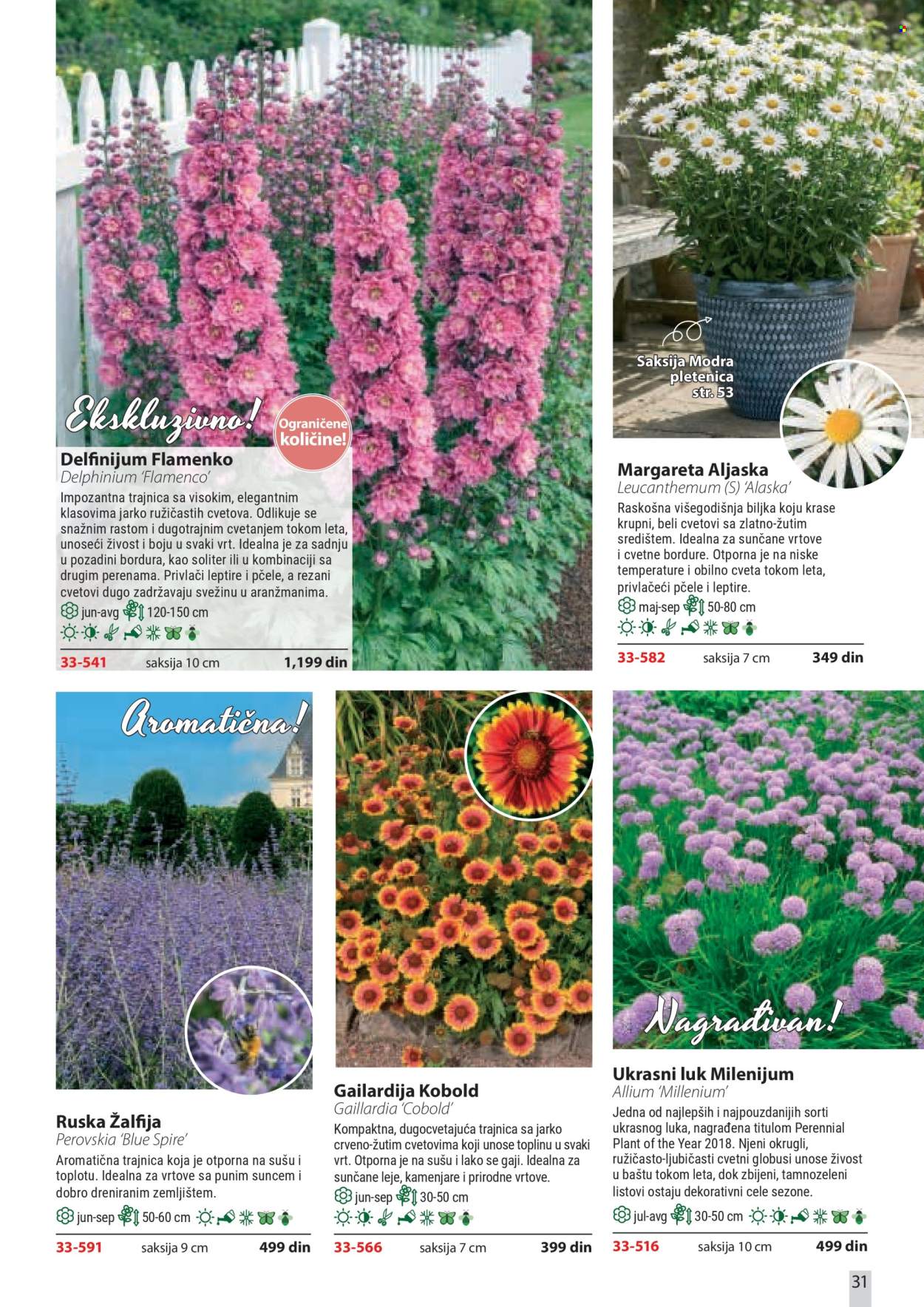 Flora Ekspres katalog . Stranica 31