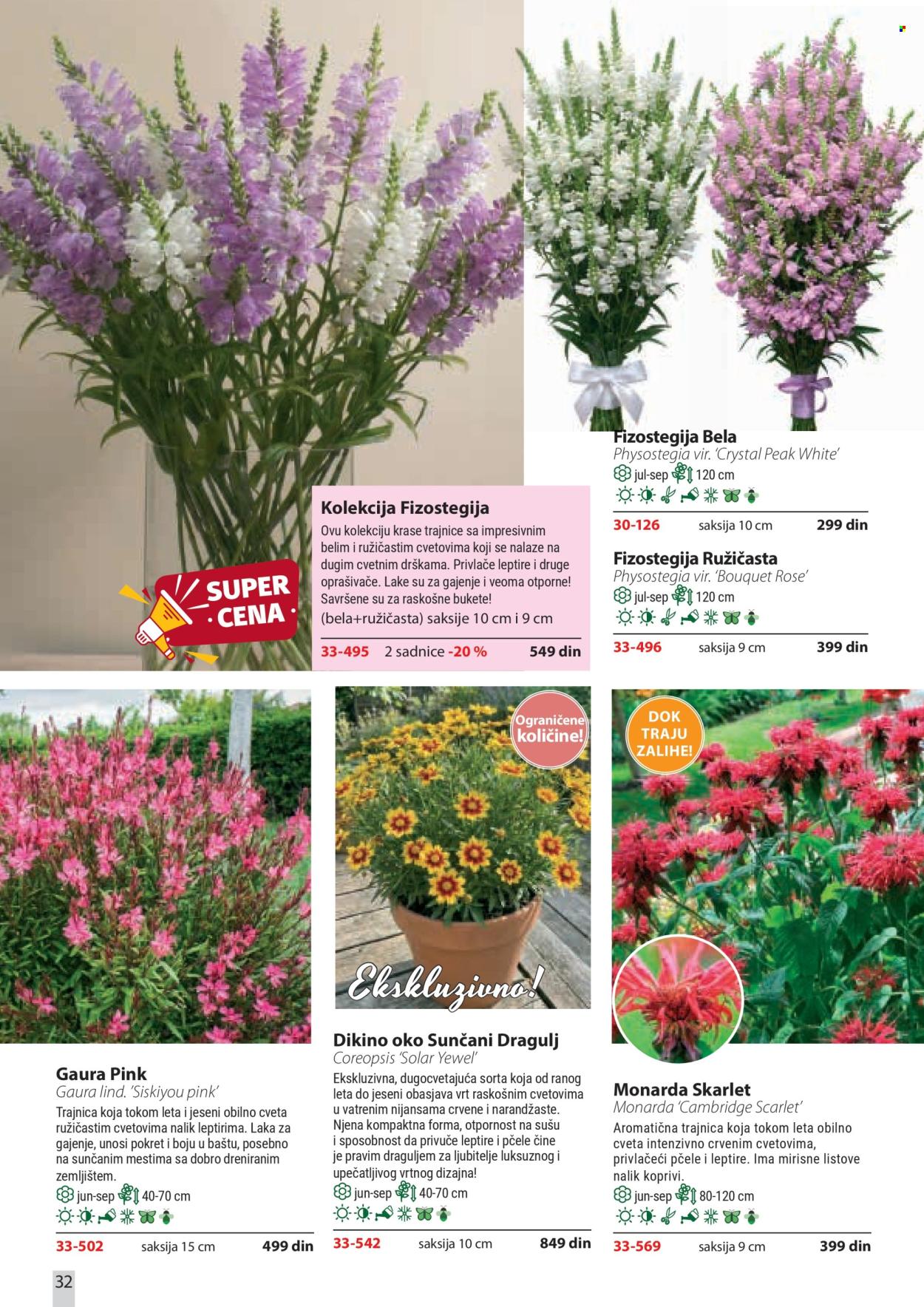 Flora Ekspres katalog . Stranica 32