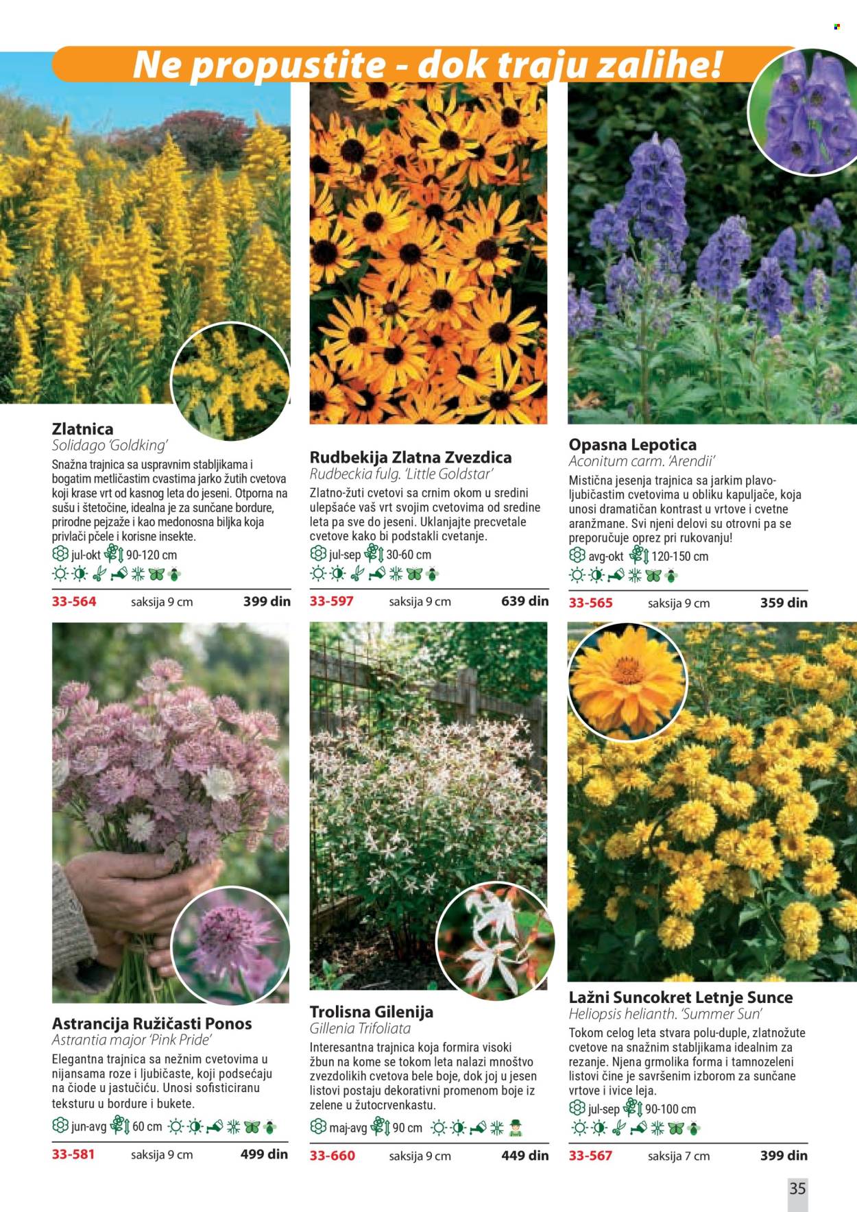 Flora Ekspres katalog . Stranica 35
