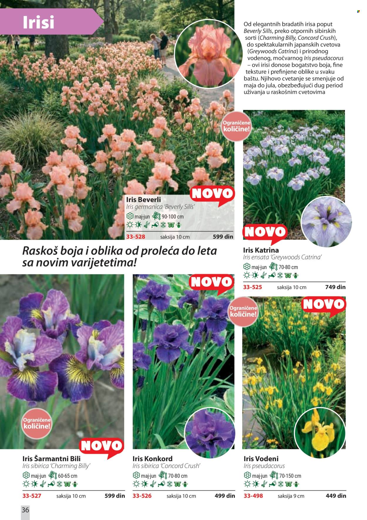 Flora Ekspres katalog . Stranica 36