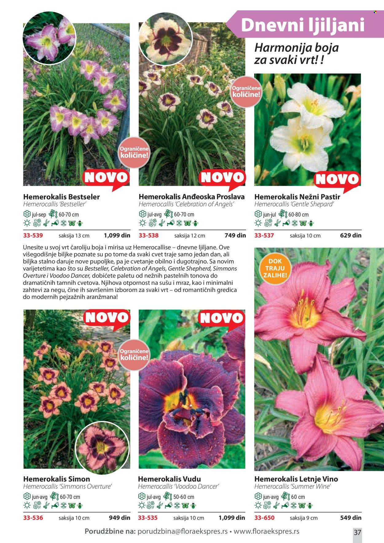 Flora Ekspres katalog . Stranica 37