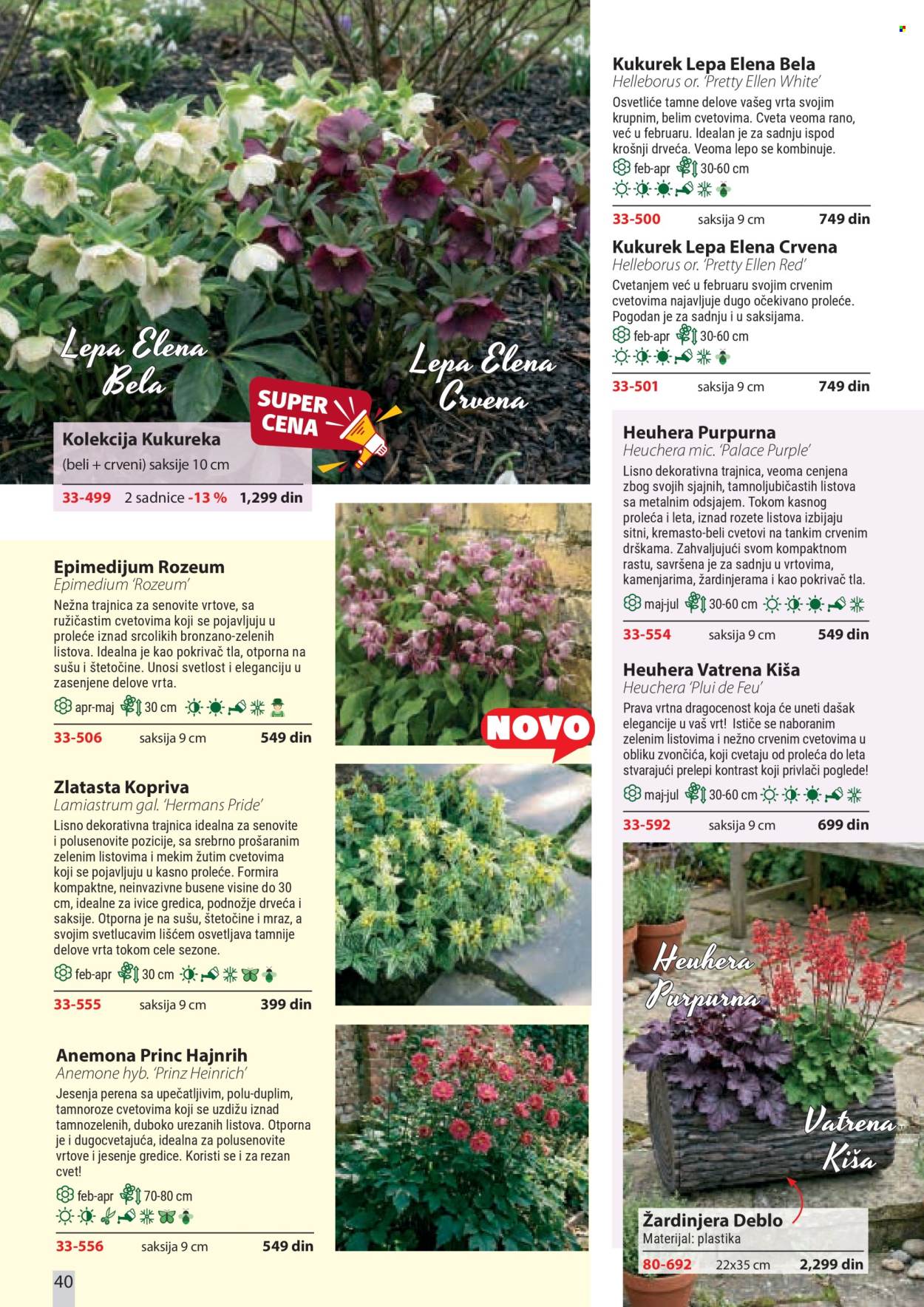 Flora Ekspres katalog . Stranica 40
