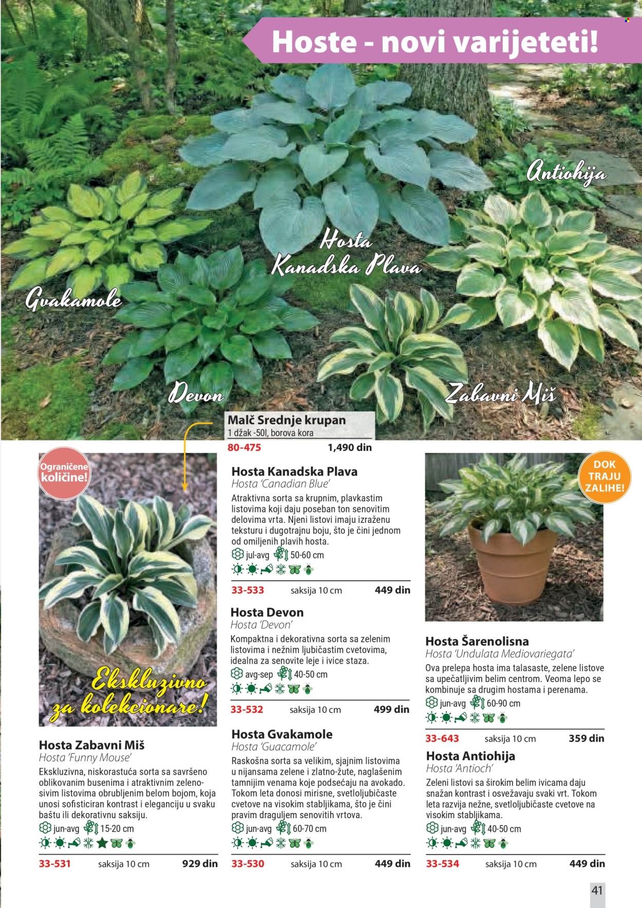 Flora Ekspres katalog . Stranica 41