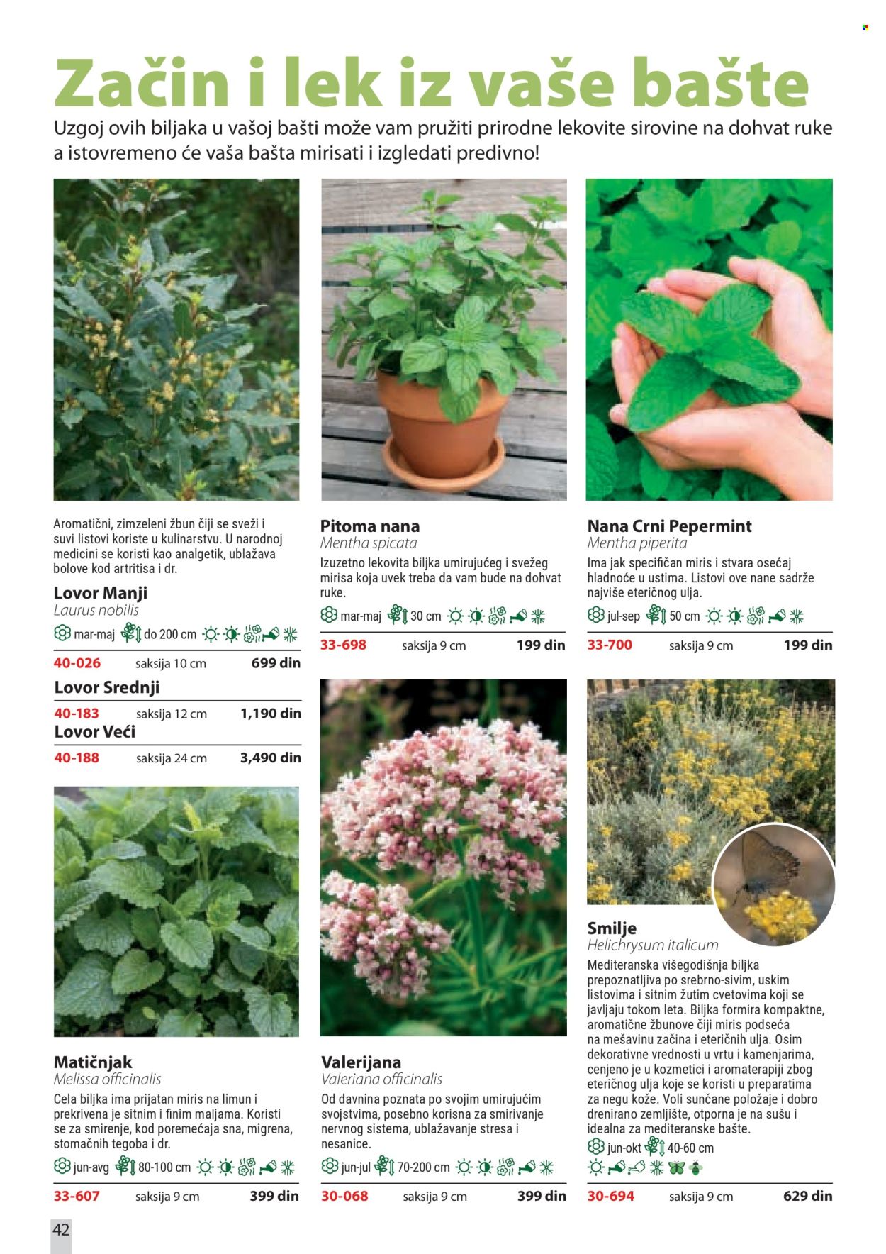 Flora Ekspres katalog . Stranica 42