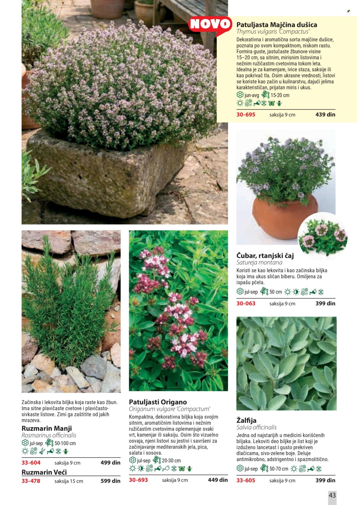 Flora Ekspres katalog . Stranica 43