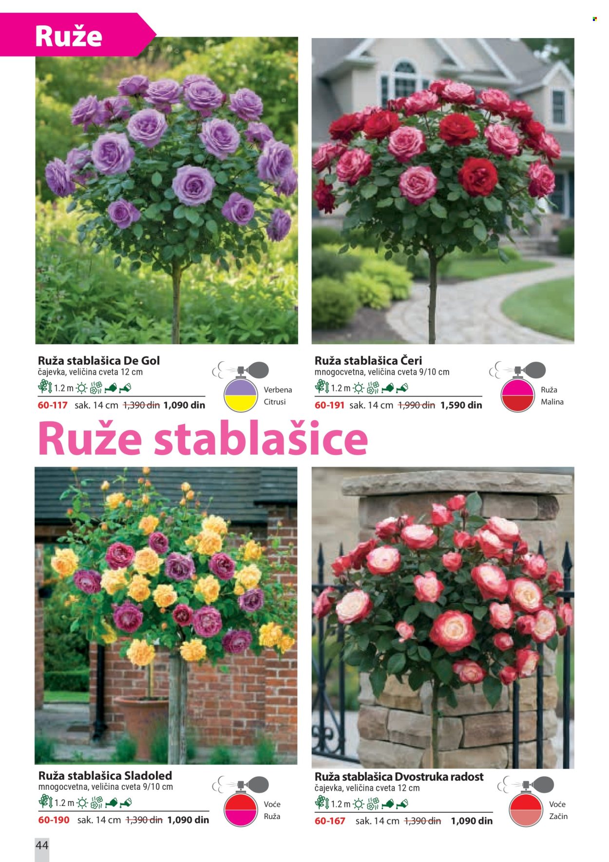 Flora Ekspres katalog . Stranica 44