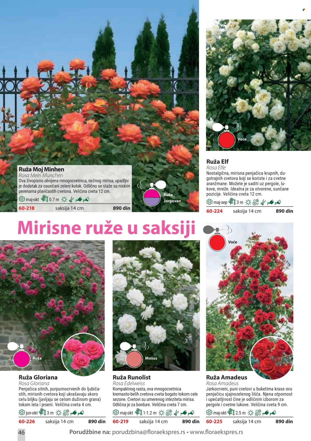 Flora Ekspres katalog . Stranica 46