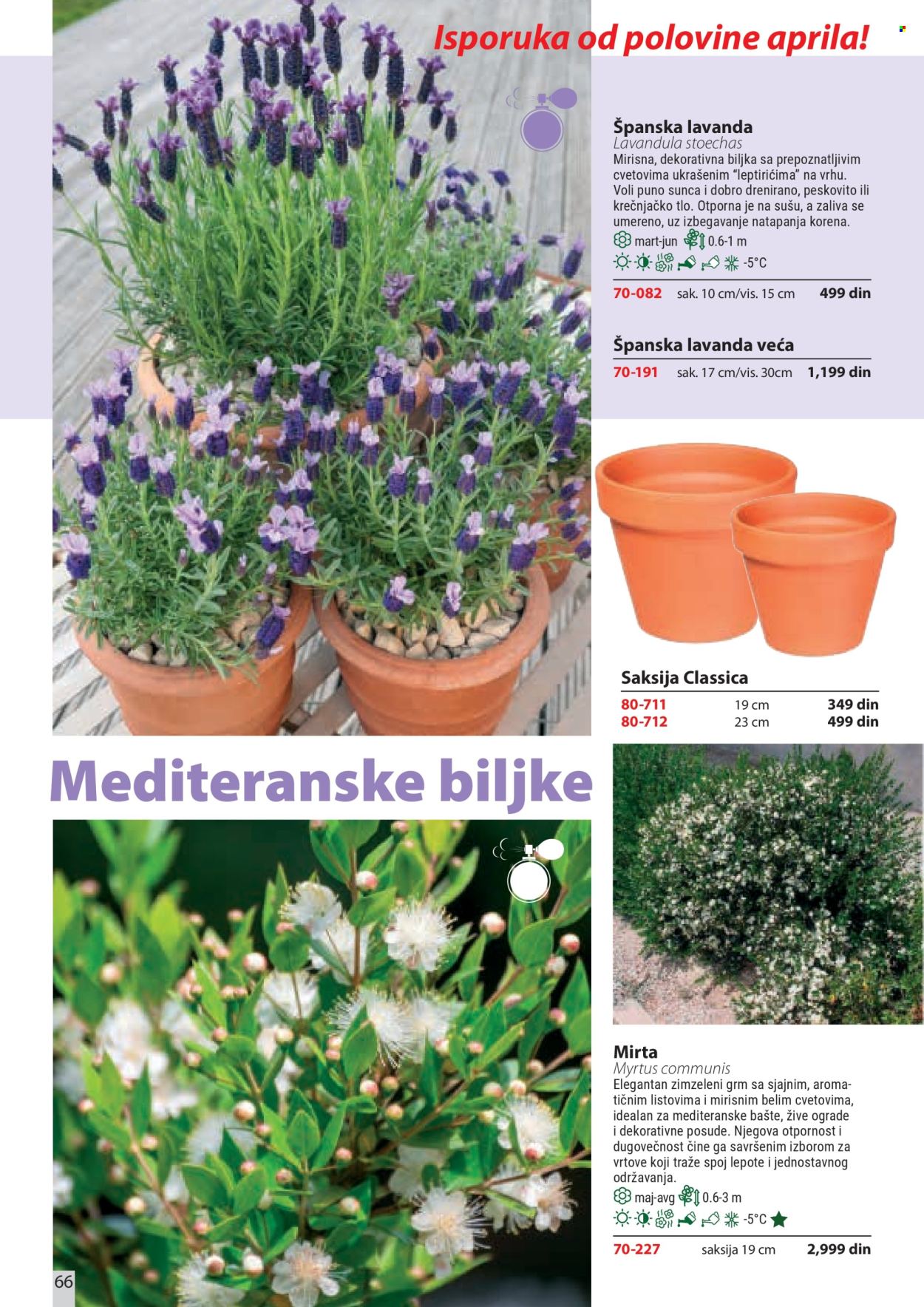 Flora Ekspres katalog . Stranica 66
