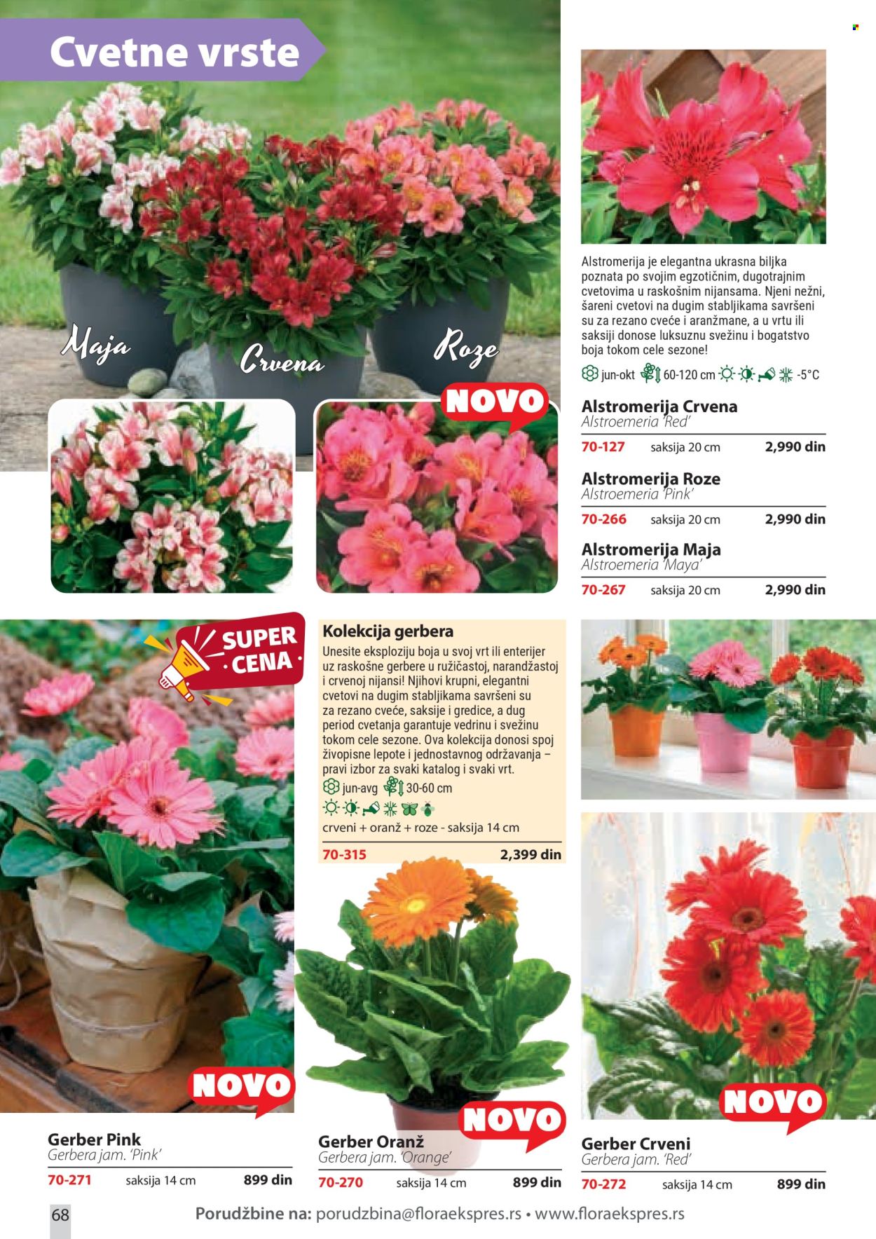 Flora Ekspres katalog . Stranica 68
