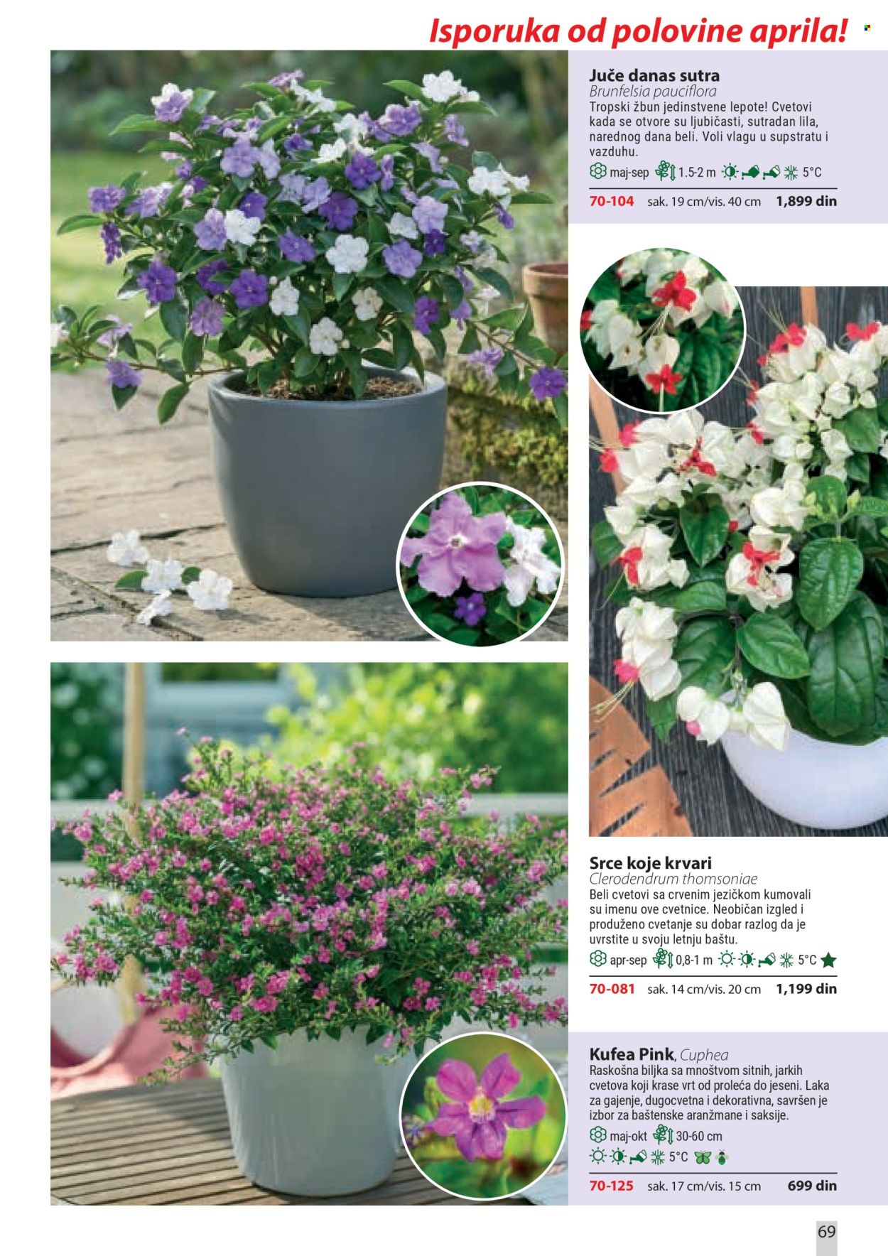 Flora Ekspres katalog . Stranica 69