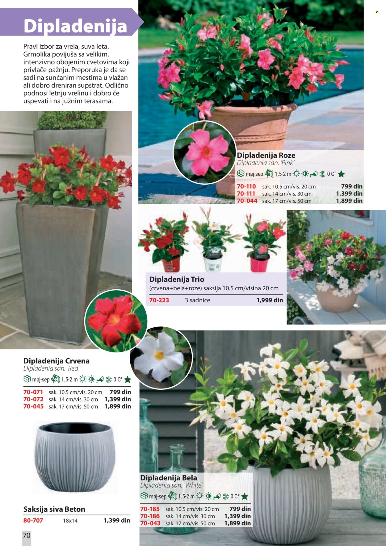 Flora Ekspres katalog . Stranica 70