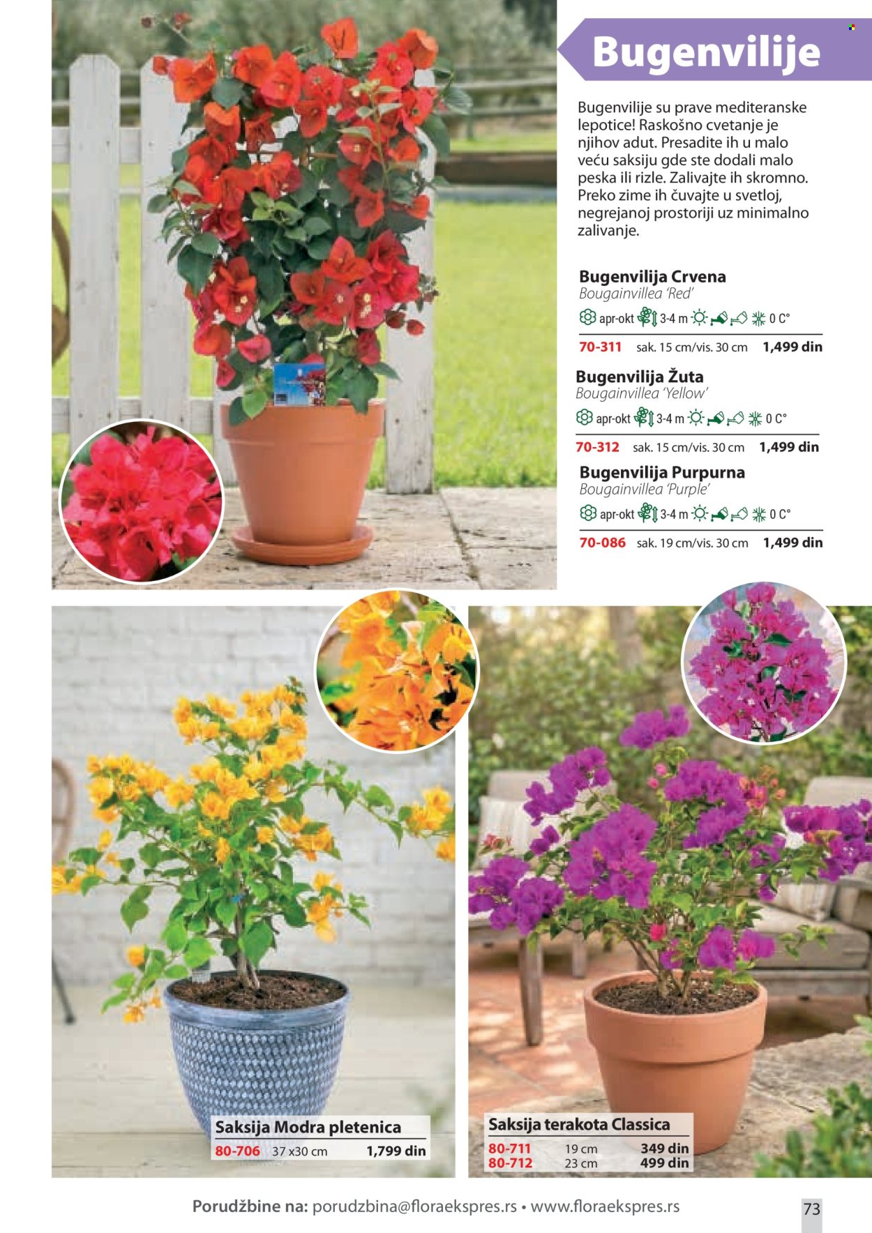 Flora Ekspres katalog . Stranica 73