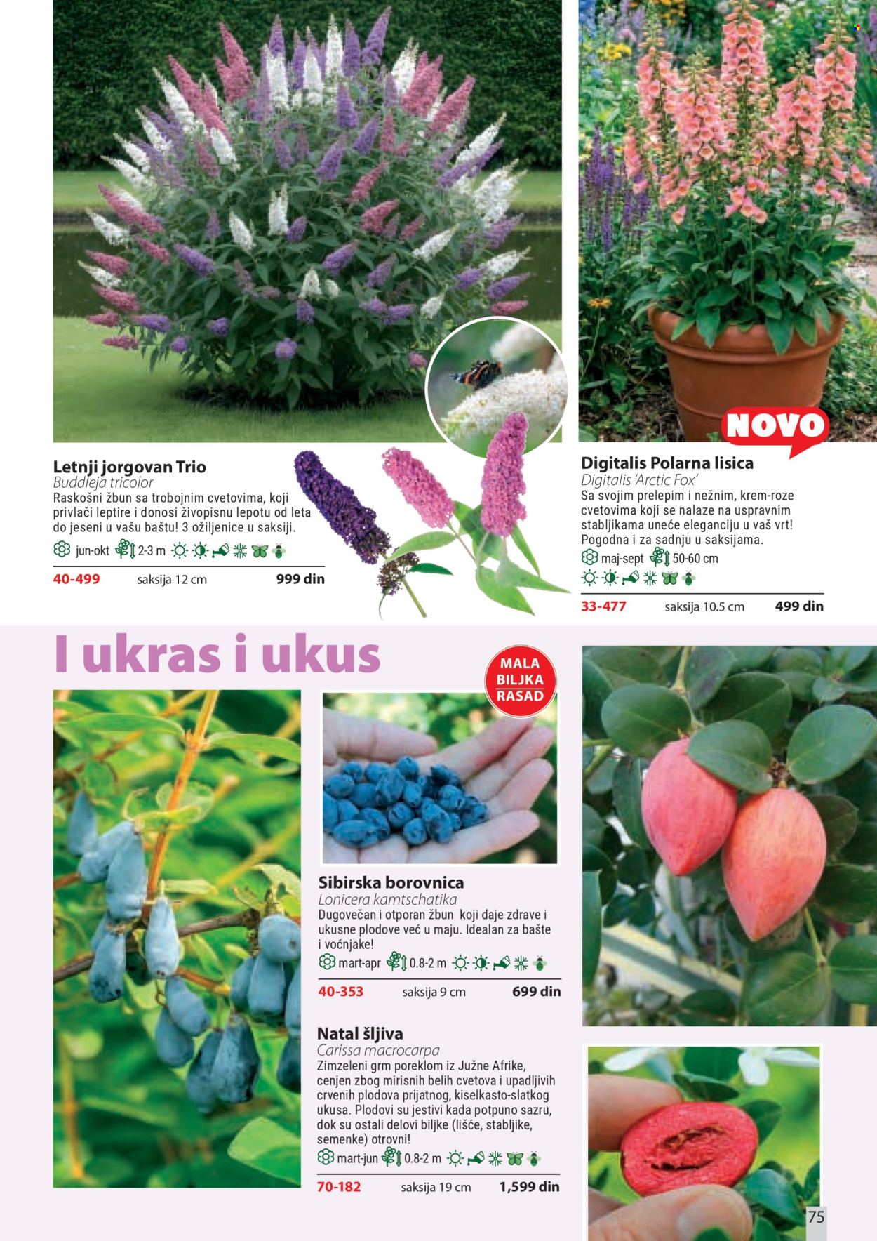 Flora Ekspres katalog . Stranica 75