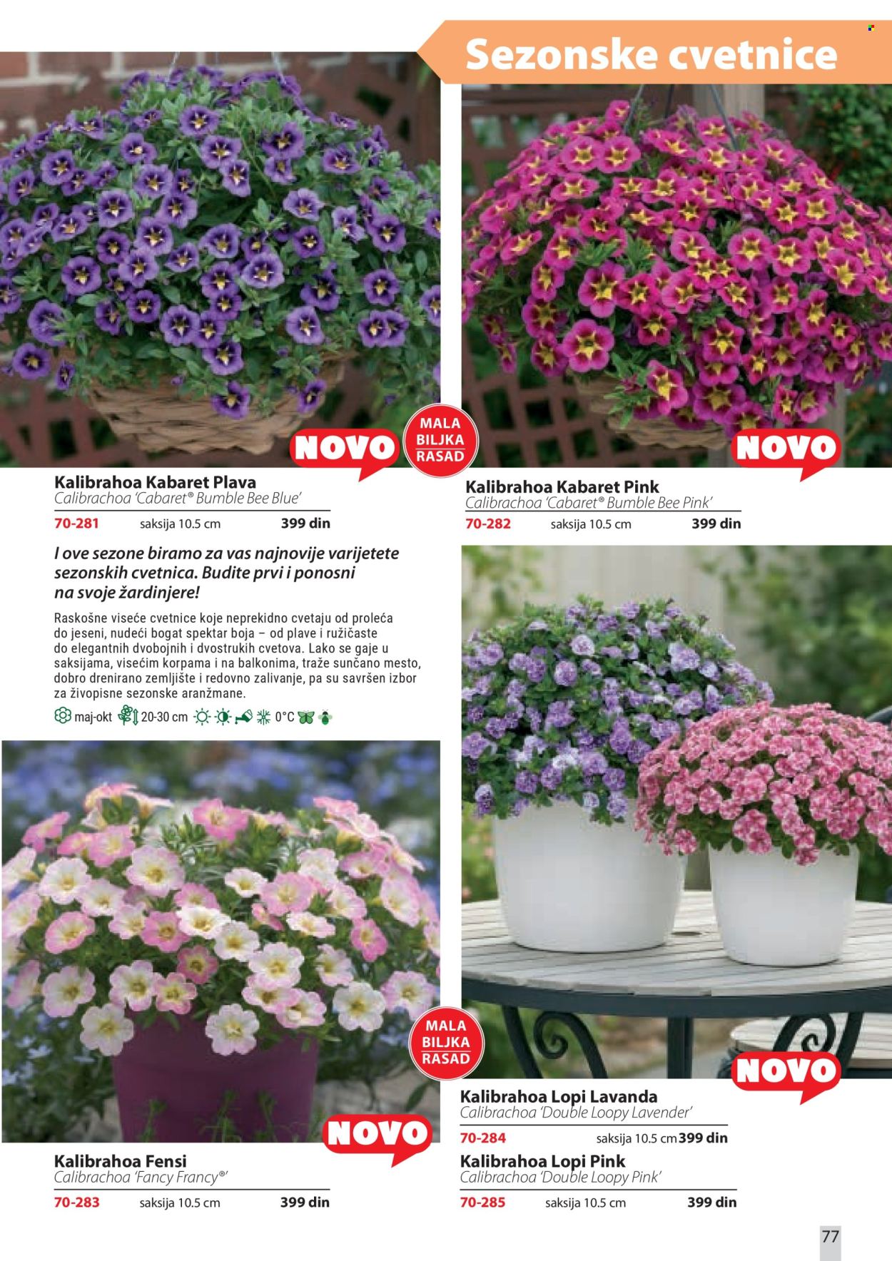 Flora Ekspres katalog . Stranica 77
