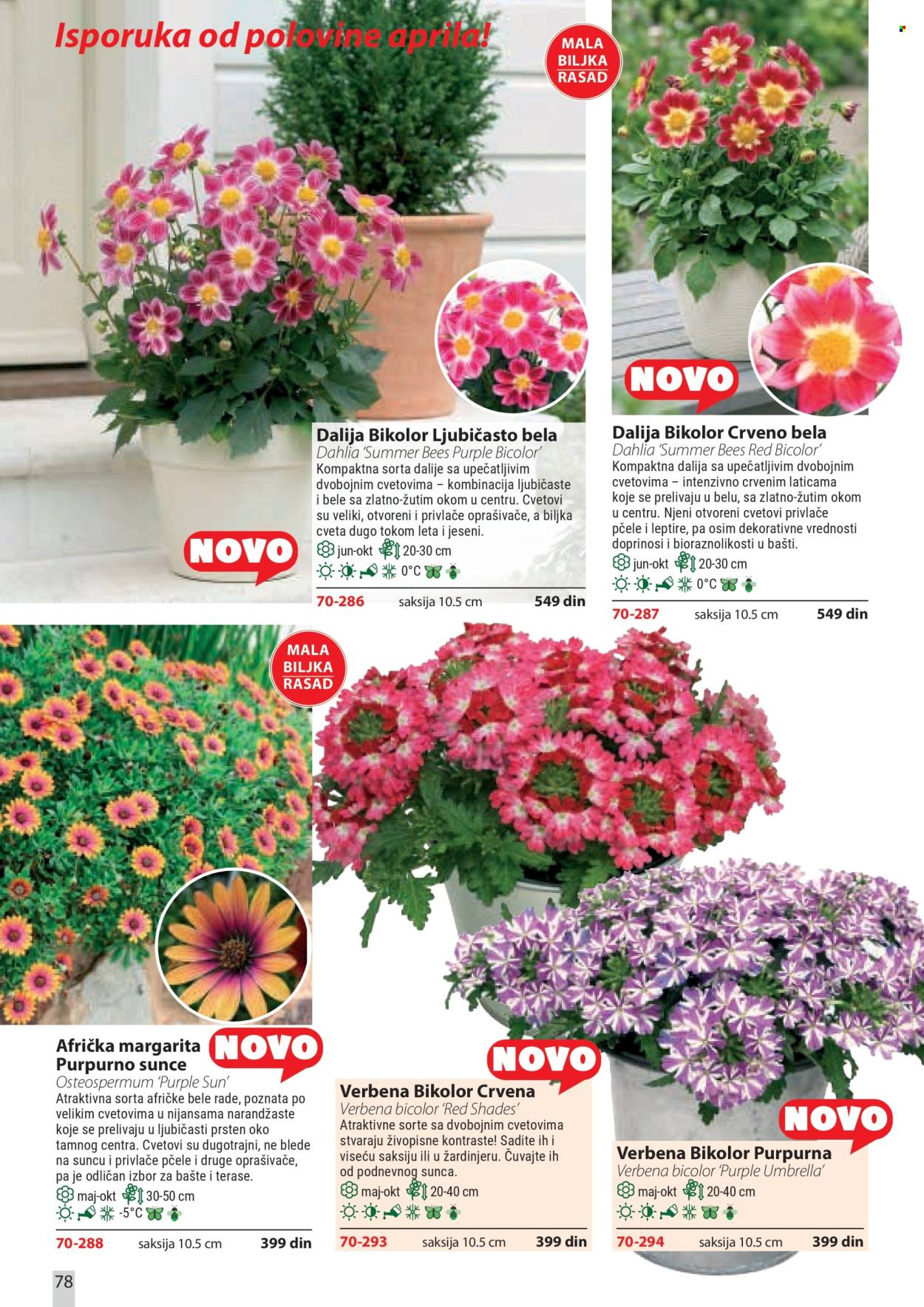 Flora Ekspres katalog . Stranica 78