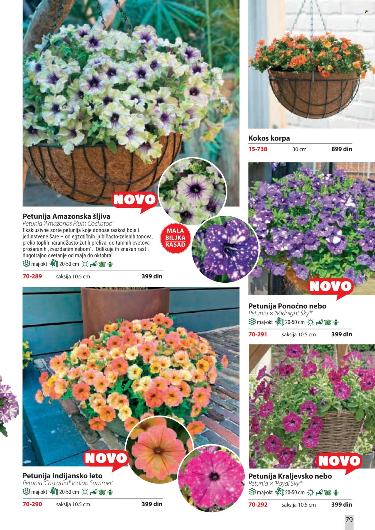 Flora Ekspres katalog . Stranica 79