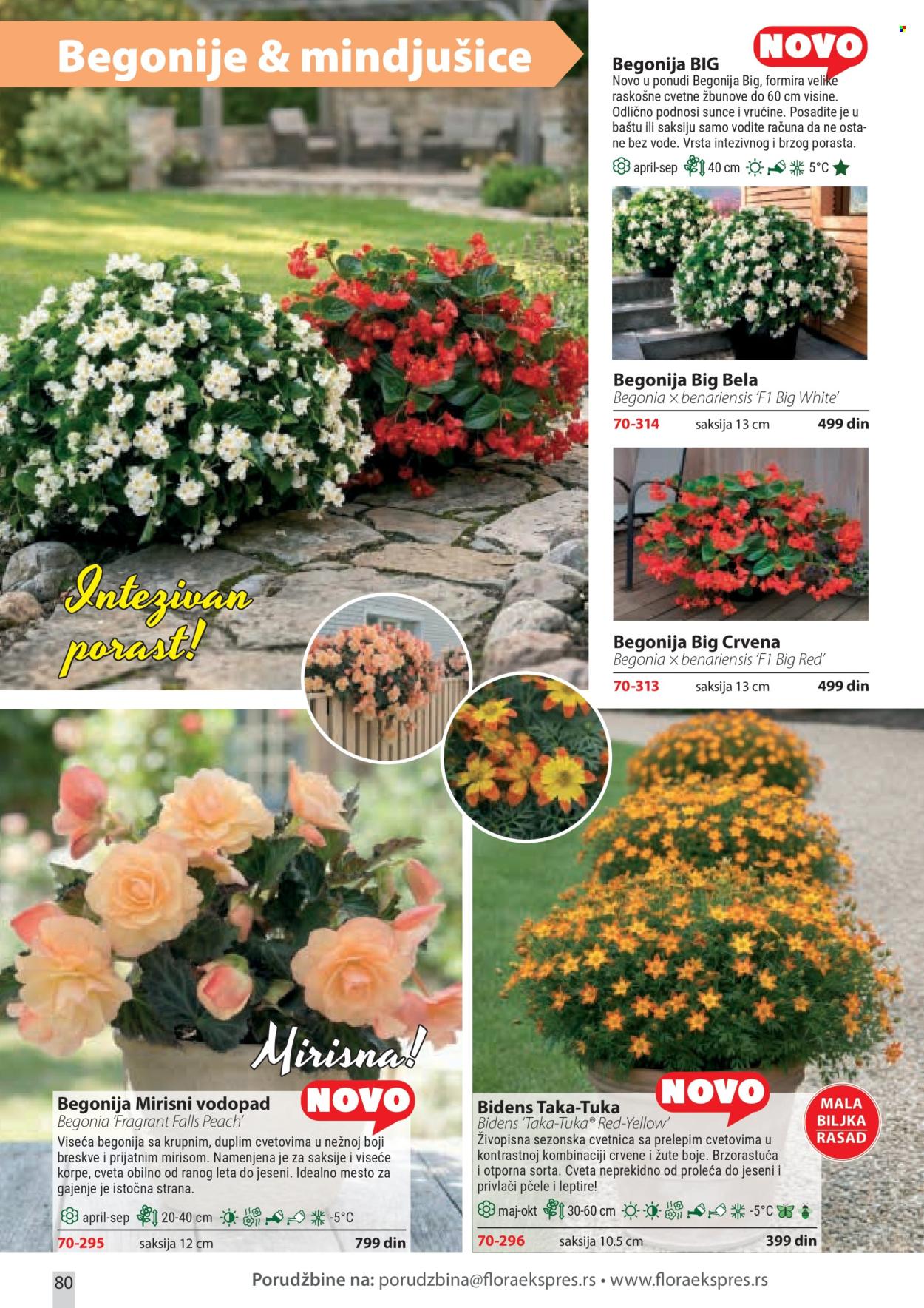 Flora Ekspres katalog . Stranica 80