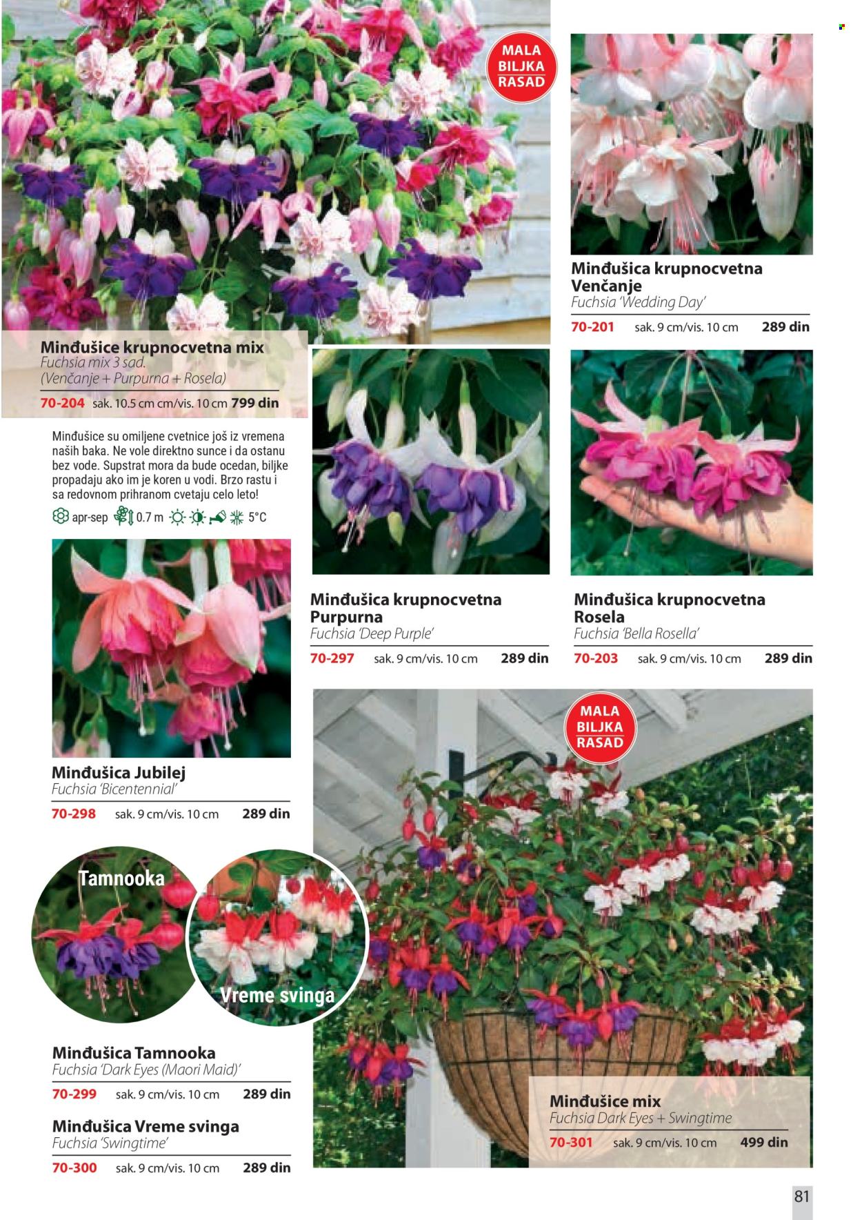 Flora Ekspres katalog . Stranica 81