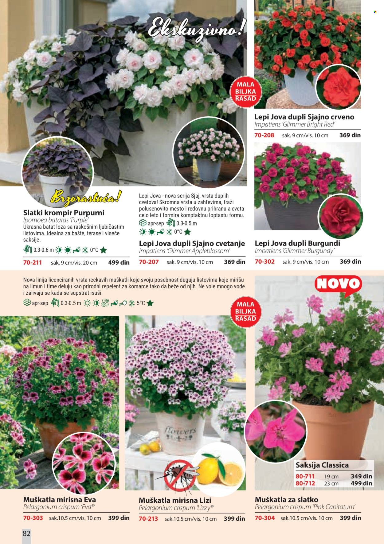 Flora Ekspres katalog . Stranica 82