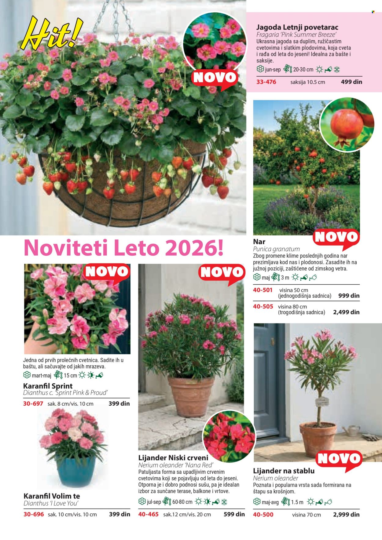 Flora Ekspres katalog . Stranica 84
