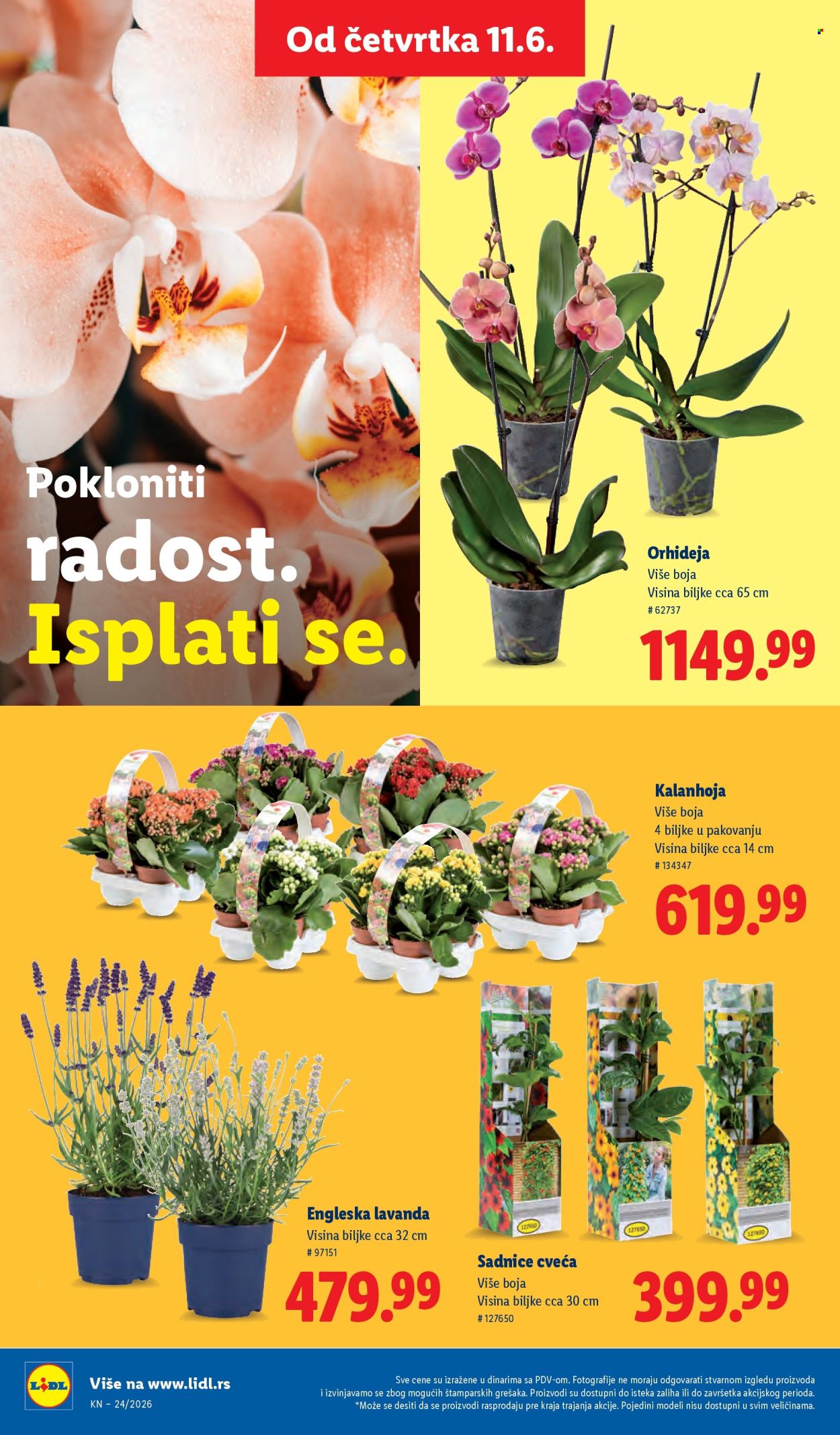Lidl katalog  - 11.06.2026 - 17.06.2026. Stranica 62