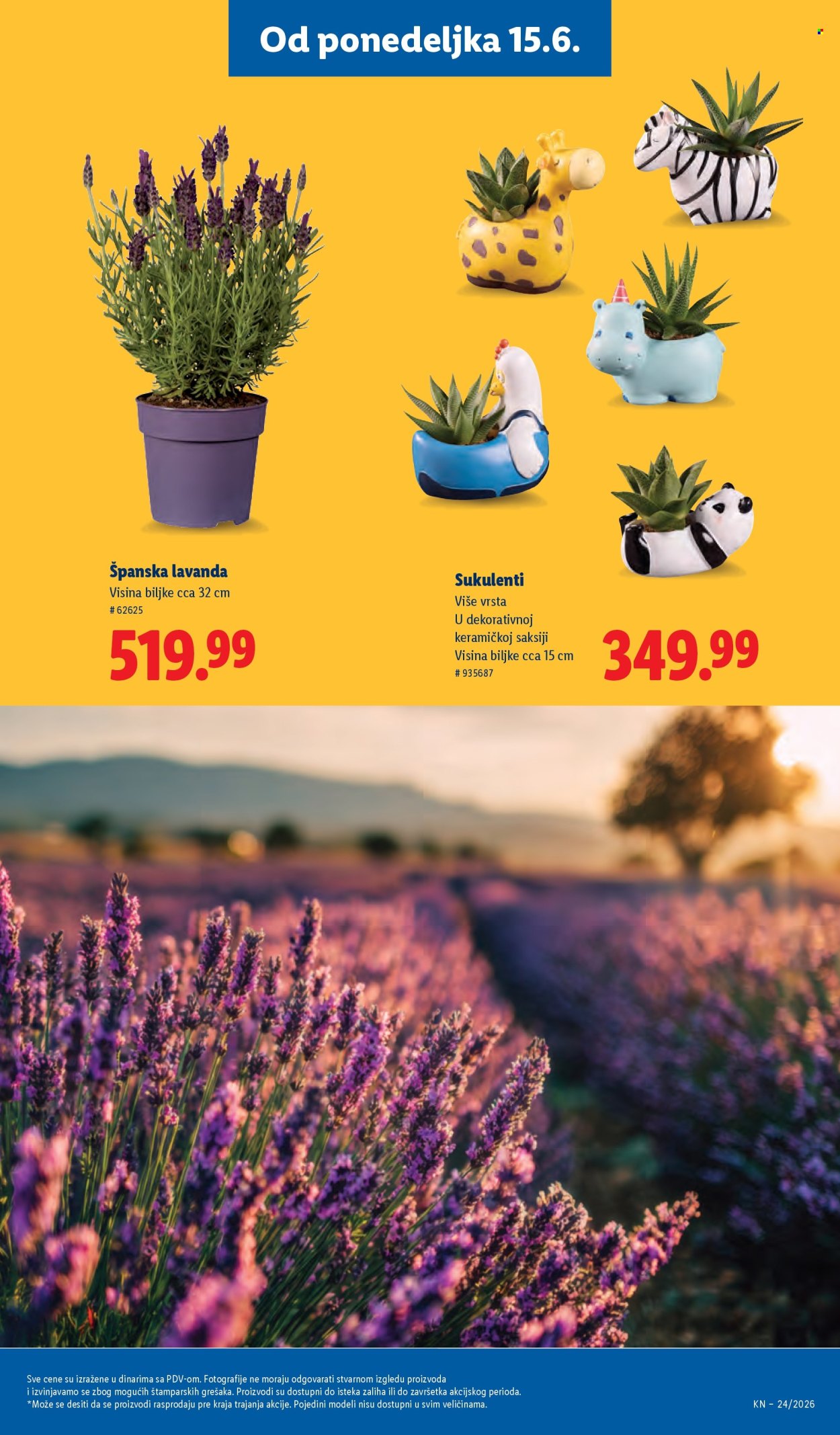 Lidl katalog  - 11.06.2026 - 17.06.2026. Stranica 63
