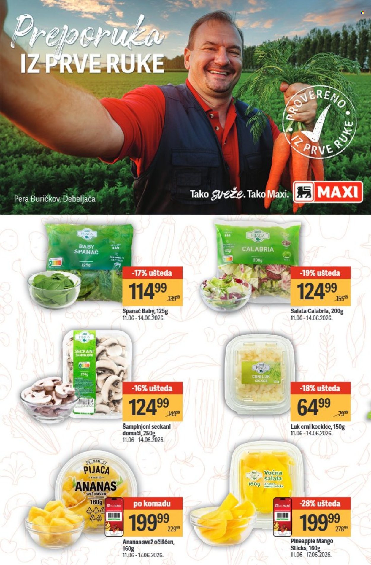 Maxi katalog  - 11.06.2026 - 17.06.2026. Stranica 10