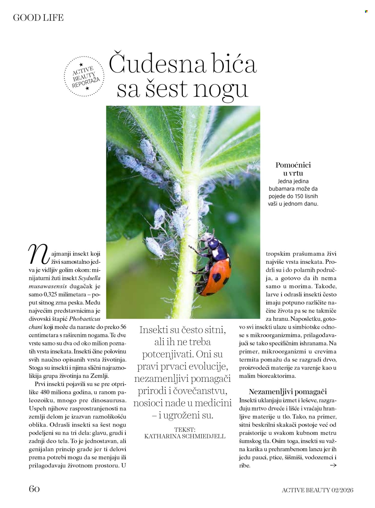 dm drogerie katalog . Stranica 60