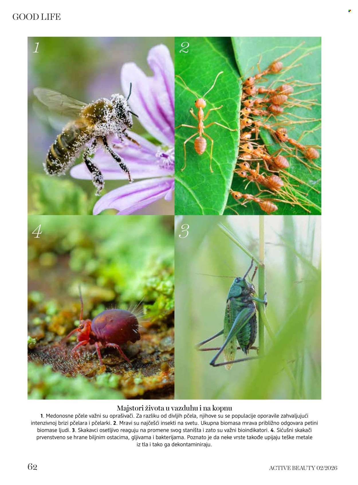 dm drogerie katalog . Stranica 62