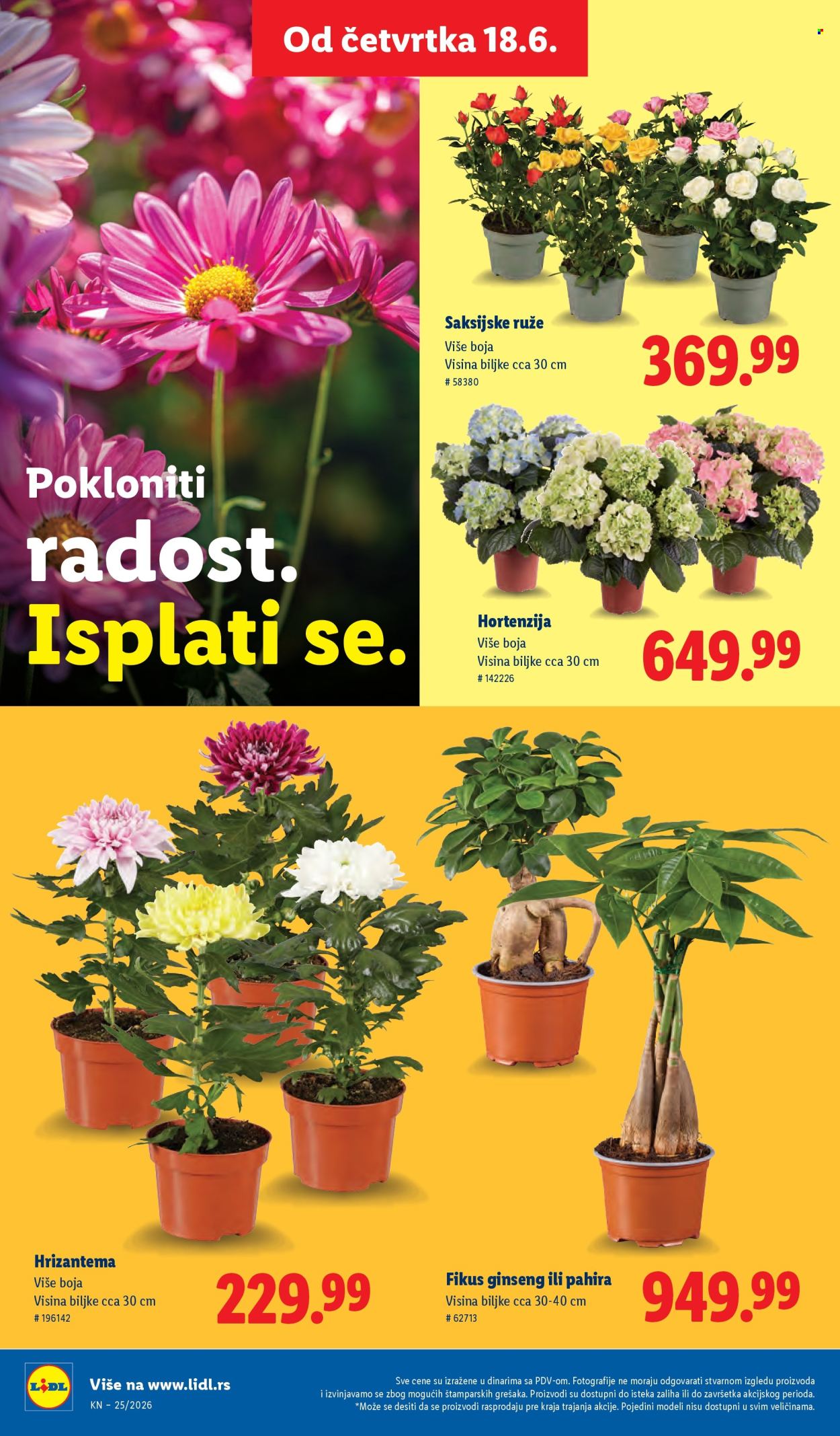 Lidl katalog  - 18.06.2026 - 24.06.2026. Stranica 68