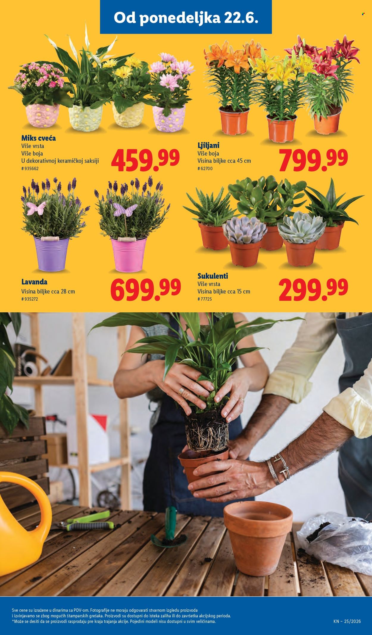 Lidl katalog  - 18.06.2026 - 24.06.2026. Stranica 69