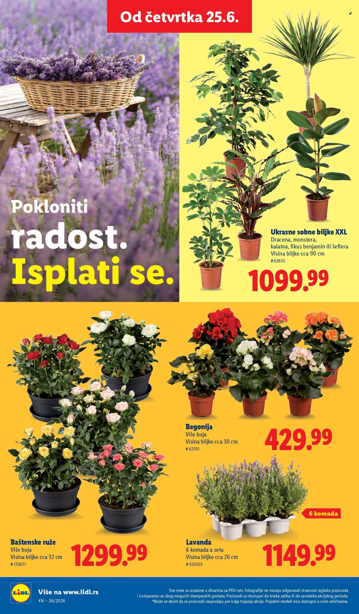 Lidl katalog  - 25.06.2026 - 01.07.2026. Stranica 74