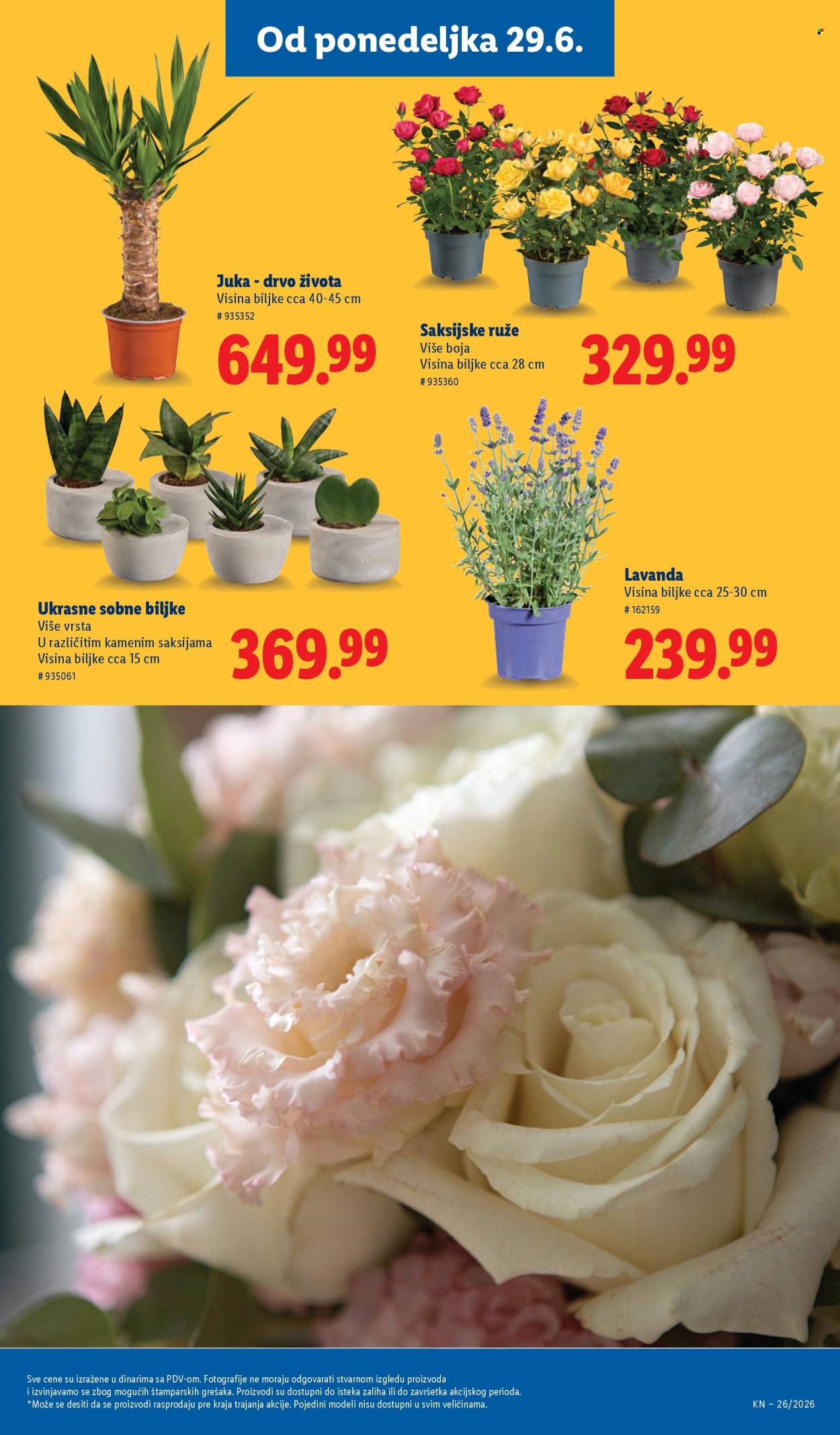 Lidl katalog  - 25.06.2026 - 01.07.2026. Stranica 75