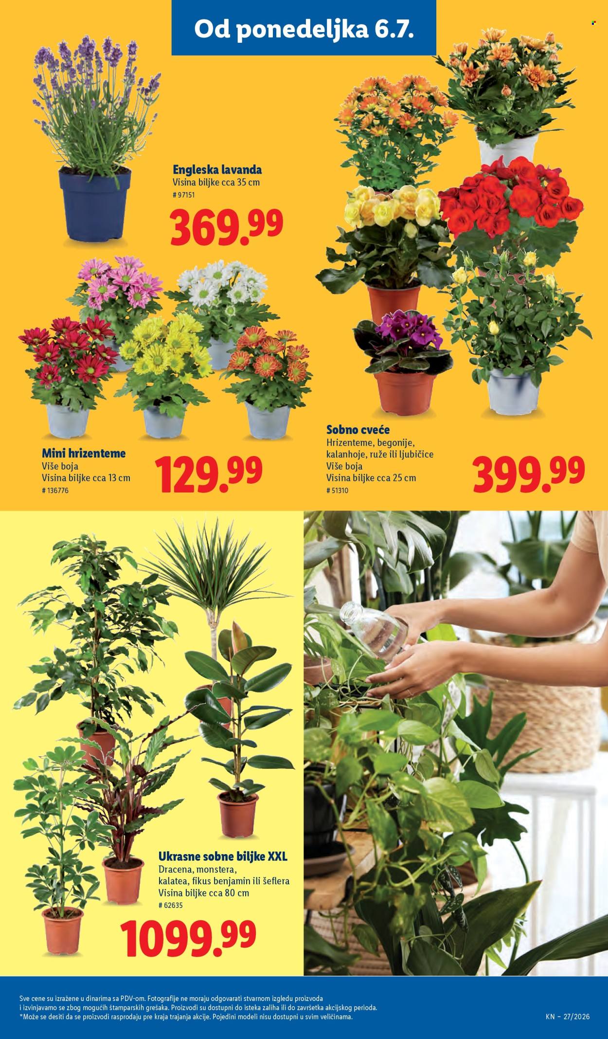Lidl katalog  - 02.07.2026 - 08.07.2026. Stranica 89