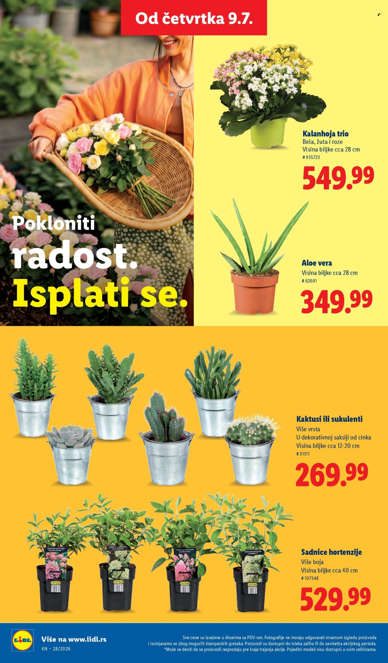 Lidl katalog  - 09.07.2026 - 15.07.2026. Stranica 62