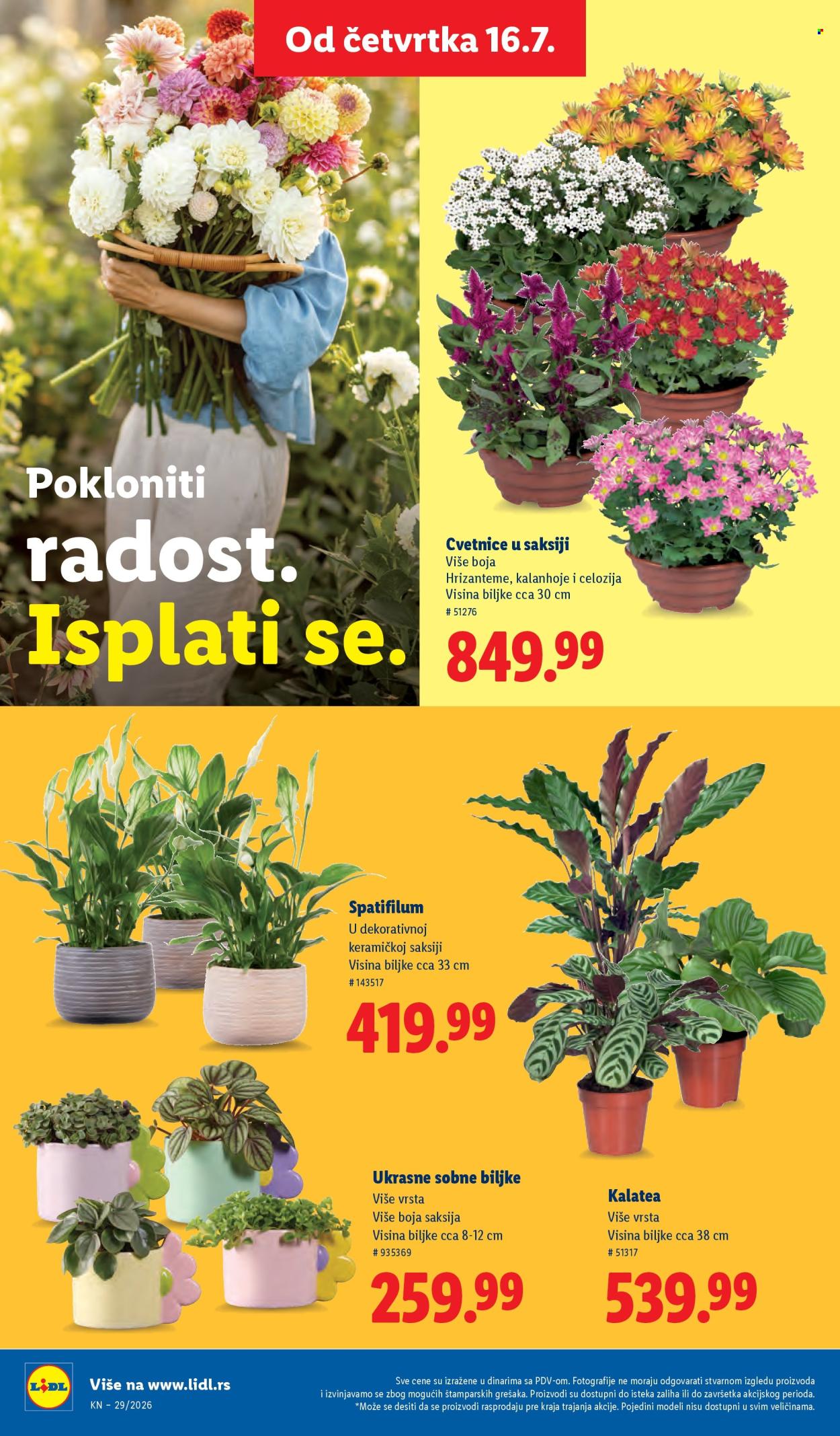 Lidl katalog  - 16.07.2026 - 22.07.2026. Stranica 76