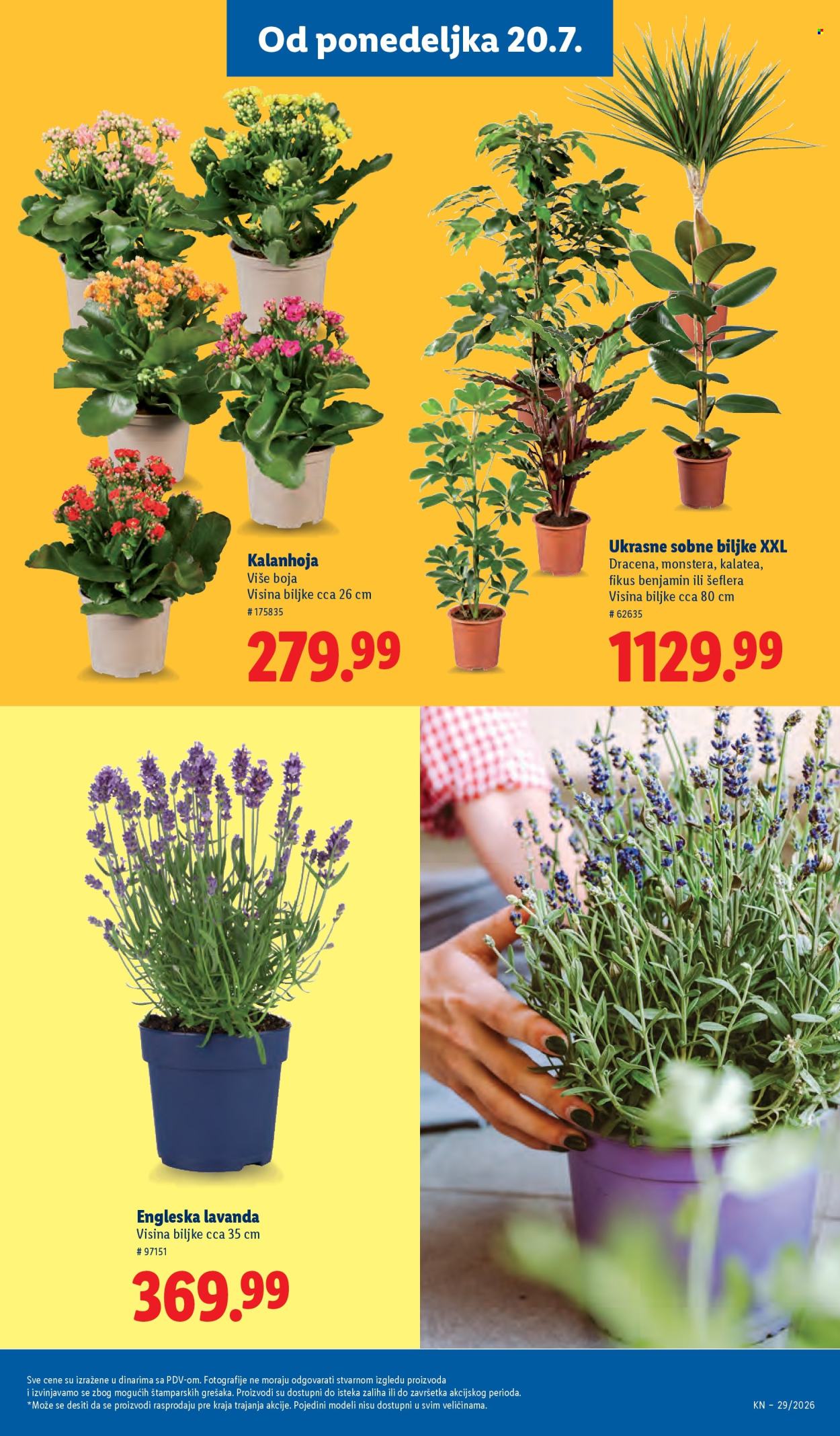 Lidl katalog  - 16.07.2026 - 22.07.2026. Stranica 77