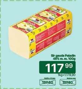 Sir gouda Paladin