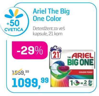Ariel The Big One Color